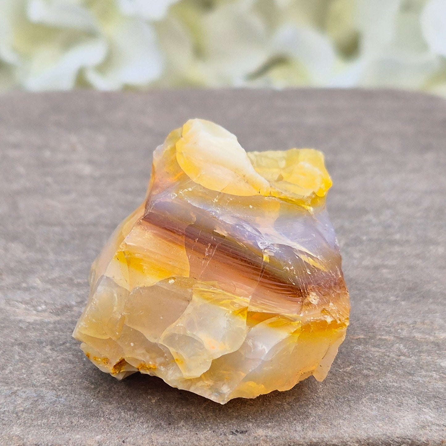 Discover natural Butte Opal from Opal Butte, Oregon, USA. A unique stone that supports creativity, intuition, positivity, and personal growth.