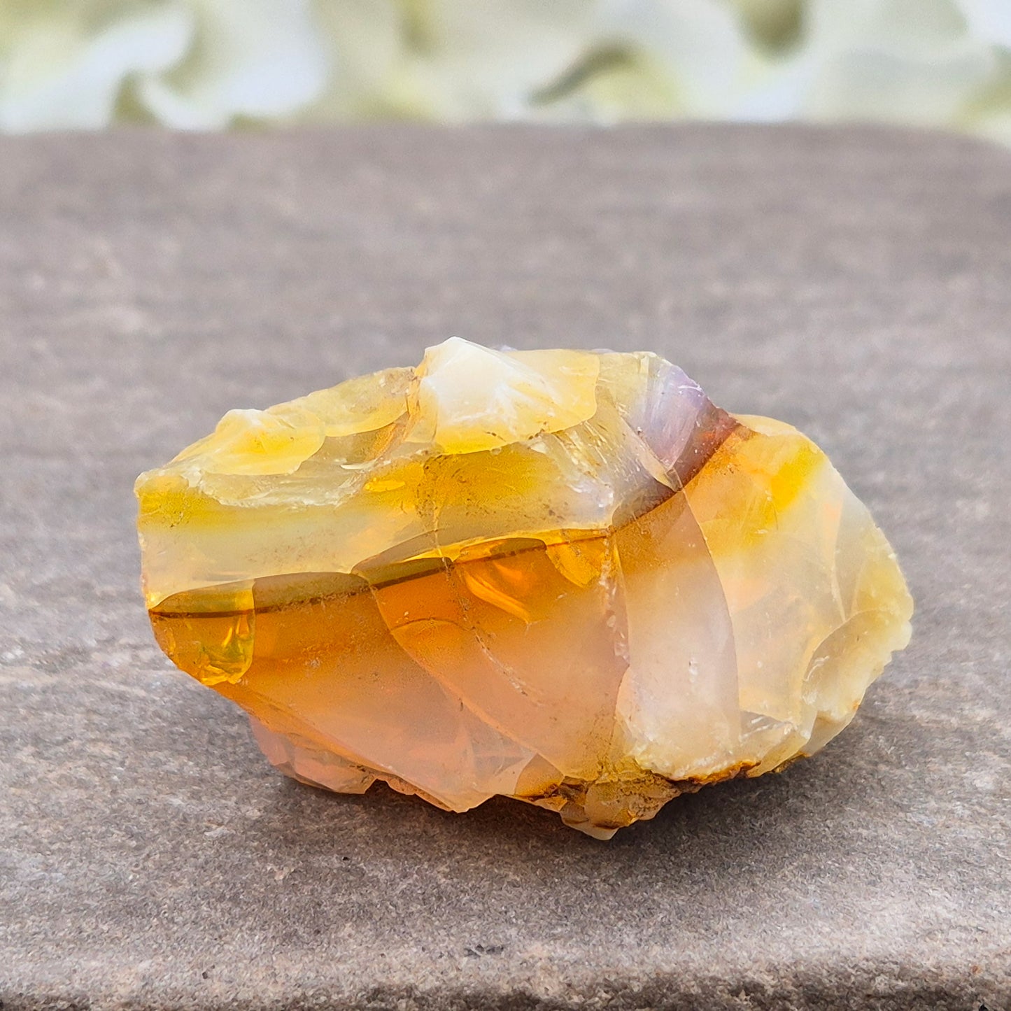 Discover natural Butte Opal from Opal Butte, Oregon, USA. A unique stone that supports creativity, intuition, positivity, and personal growth.