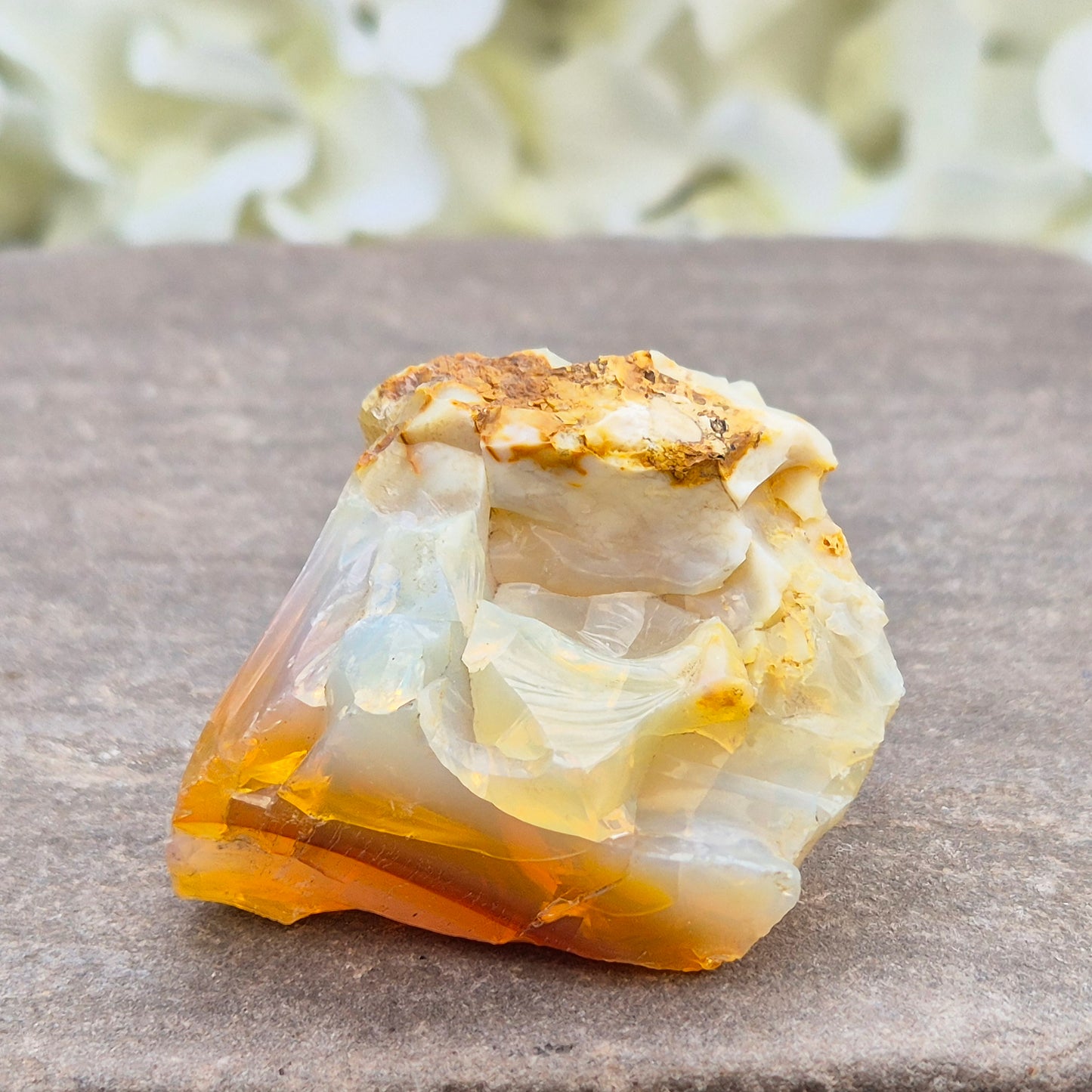 Discover natural Butte Opal from Opal Butte, Oregon, USA. A unique stone that supports creativity, intuition, positivity, and personal growth.