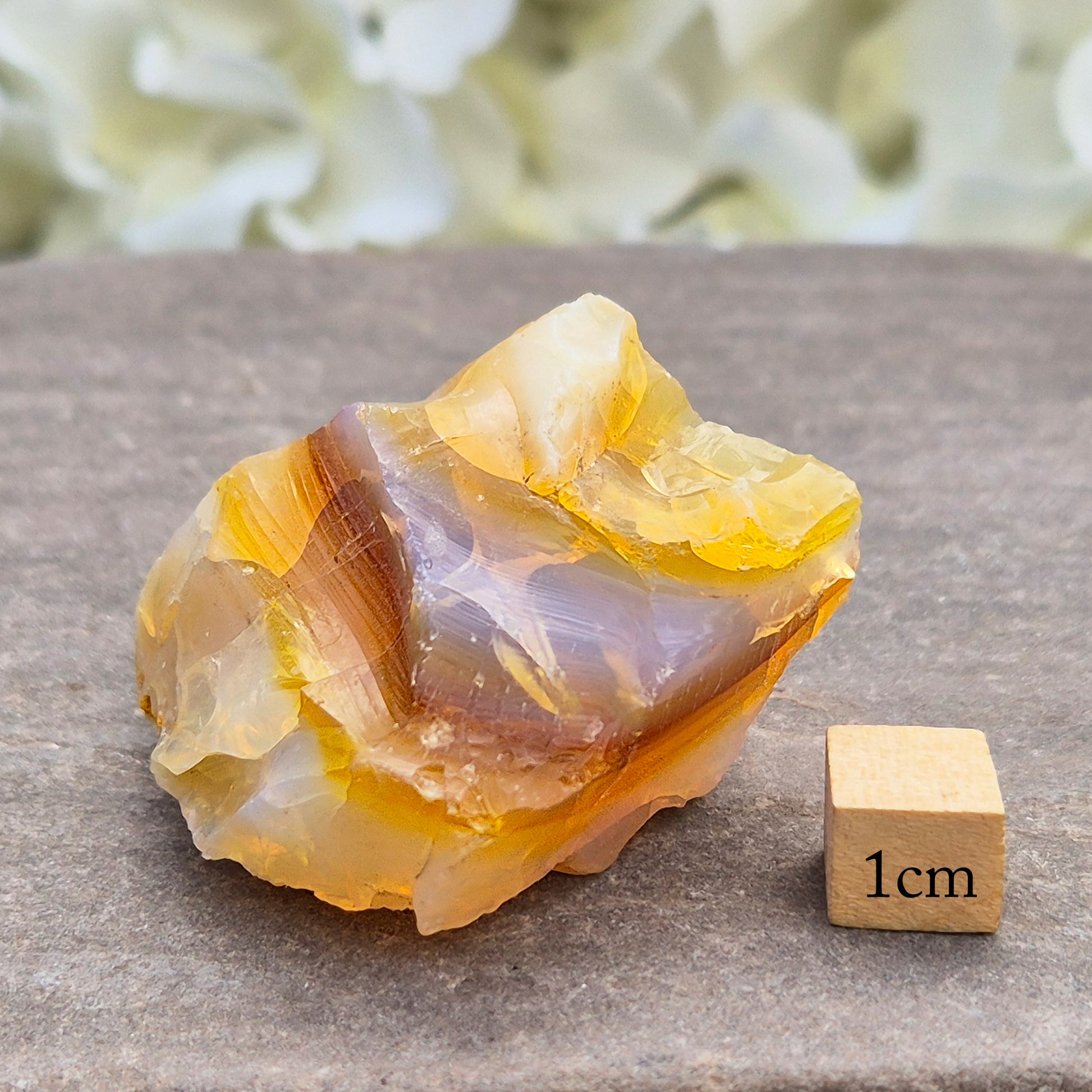 Discover natural Butte Opal from Opal Butte, Oregon, USA. A unique stone that supports creativity, intuition, positivity, and personal growth.