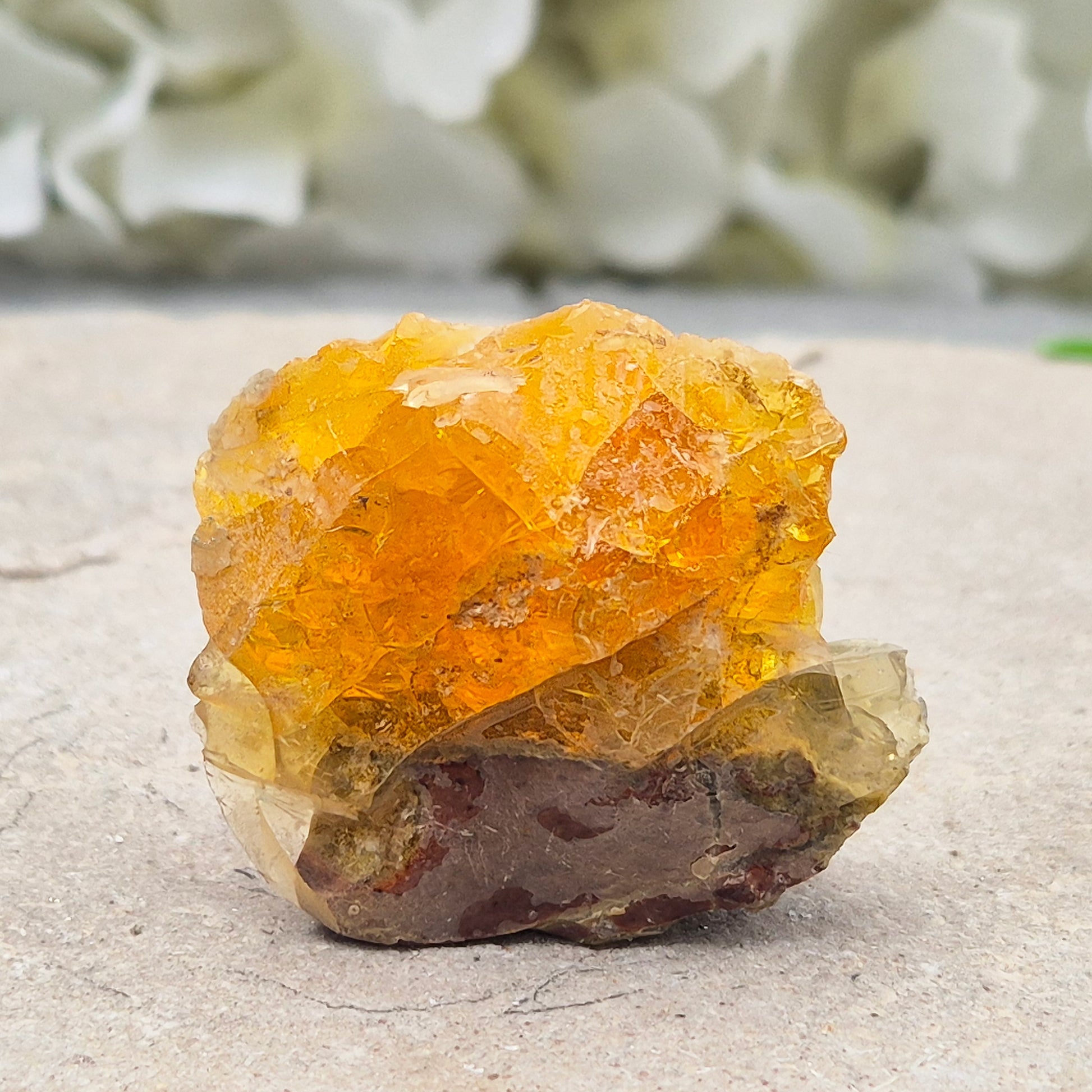 Natural Butte Opal from Oregon, USA. A beautiful butte opal specimen with vibrant colouring, perfect for crystal collections, displays, and gifting.