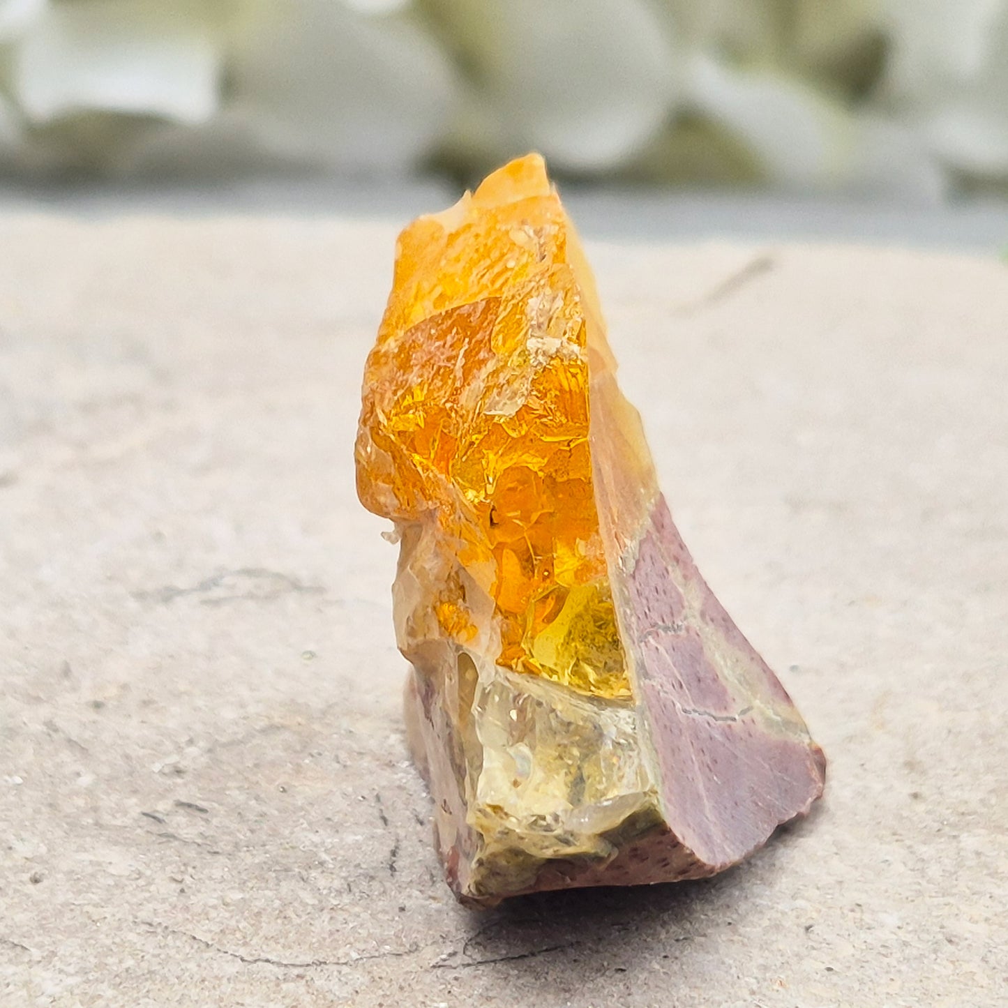 Natural Butte Opal from Oregon, USA. A beautiful butte opal specimen with vibrant colouring, perfect for crystal collections, displays, and gifting.