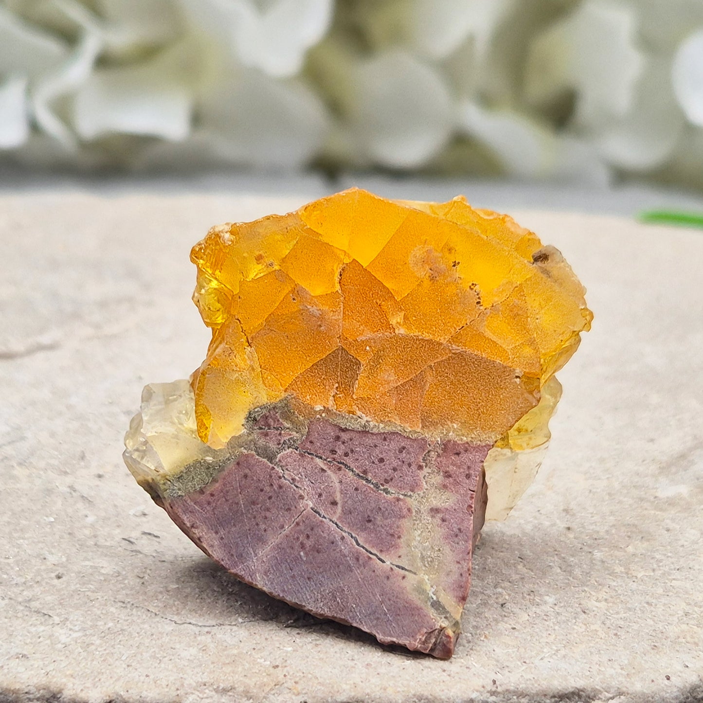 Natural Butte Opal from Oregon, USA. A beautiful butte opal specimen with vibrant colouring, perfect for crystal collections, displays, and gifting.