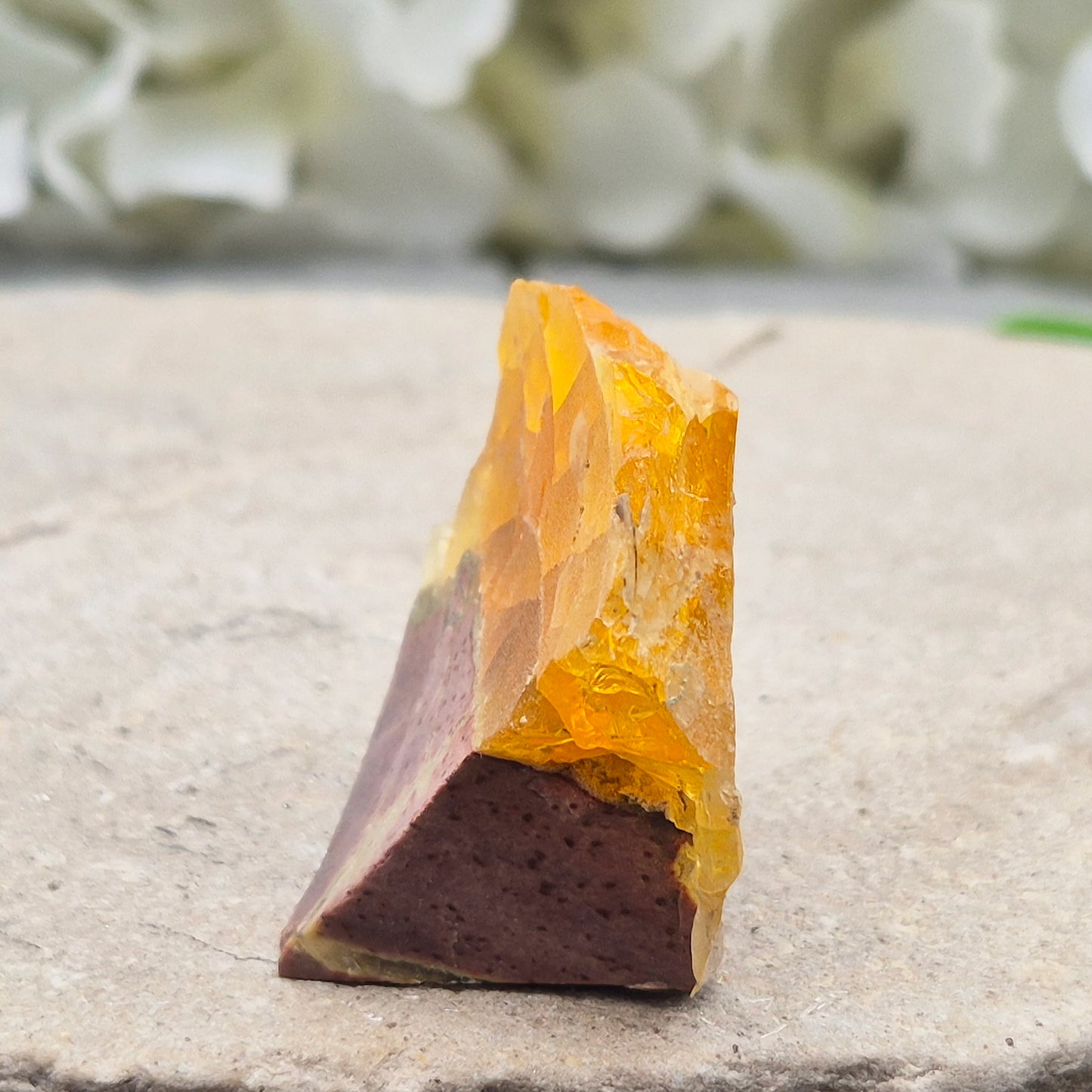 Natural Butte Opal from Oregon, USA. A beautiful butte opal specimen with vibrant colouring, perfect for crystal collections, displays, and gifting.