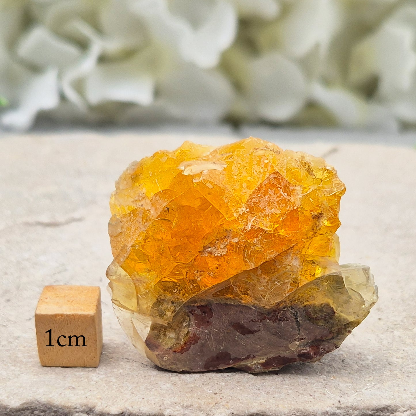 Natural Butte Opal from Oregon, USA. A beautiful butte opal specimen with vibrant colouring, perfect for crystal collections, displays, and gifting.