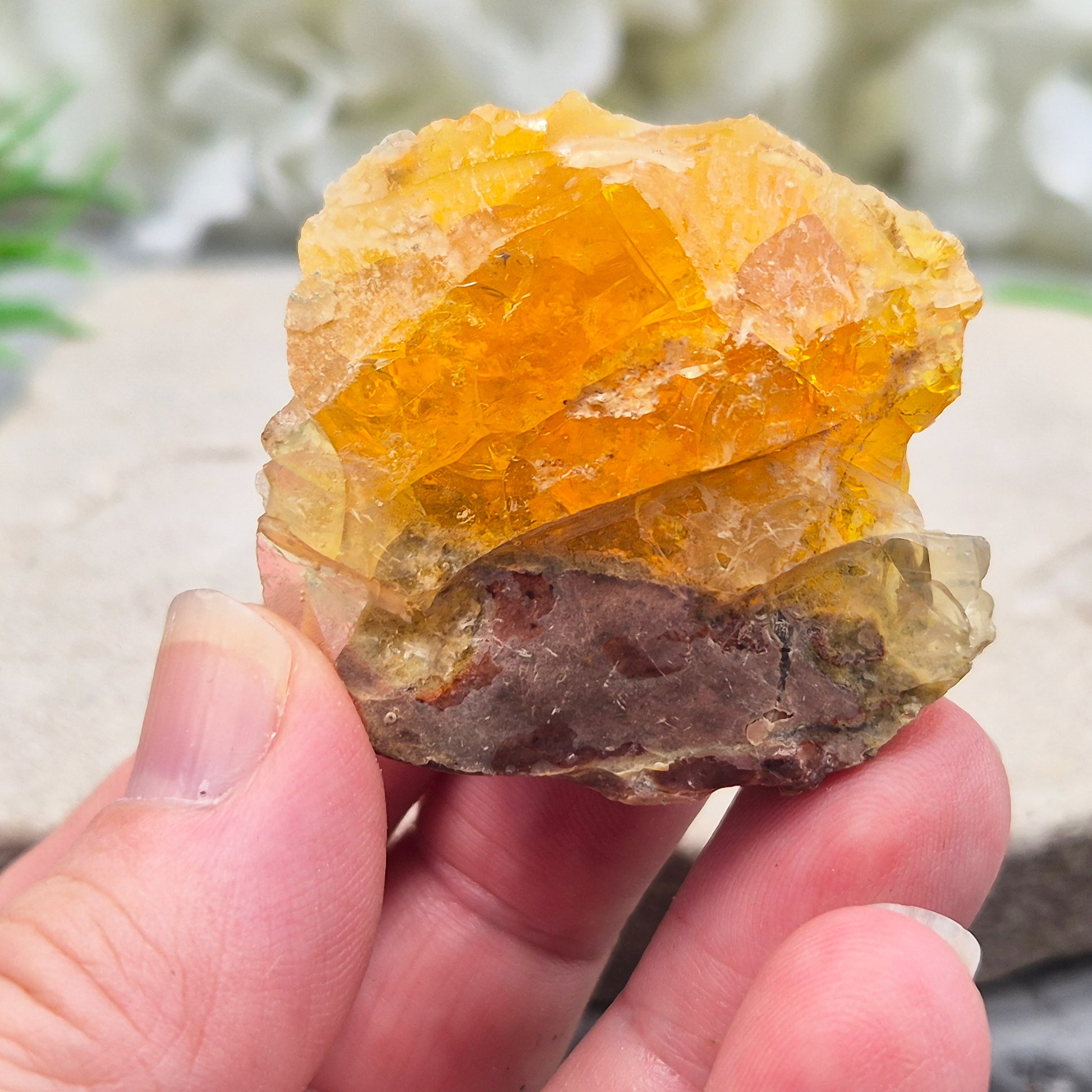 Natural Butte Opal from Oregon, USA. A beautiful butte opal specimen with vibrant colouring, perfect for crystal collections, displays, and gifting.