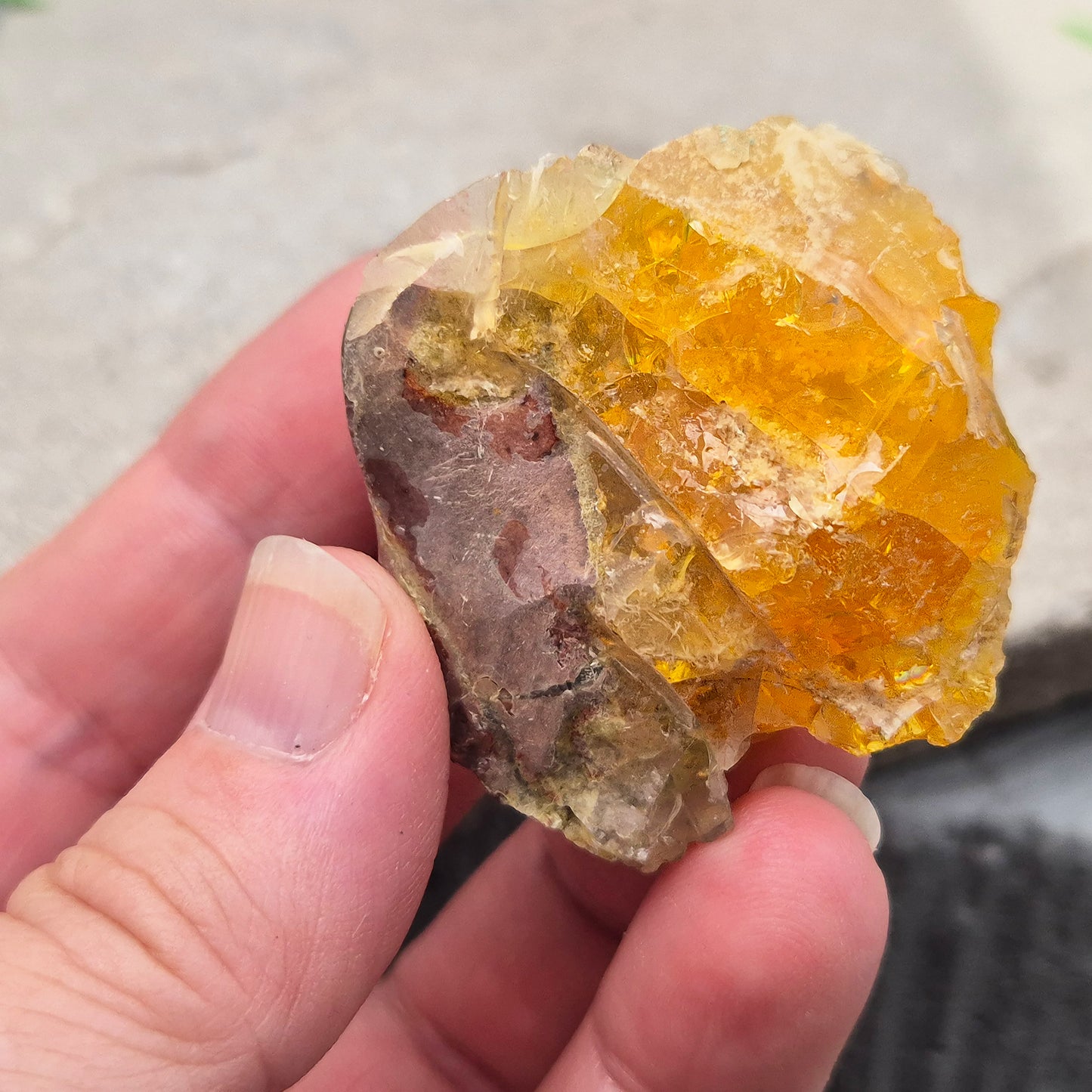 Natural Butte Opal from Oregon, USA. A beautiful butte opal specimen with vibrant colouring, perfect for crystal collections, displays, and gifting.