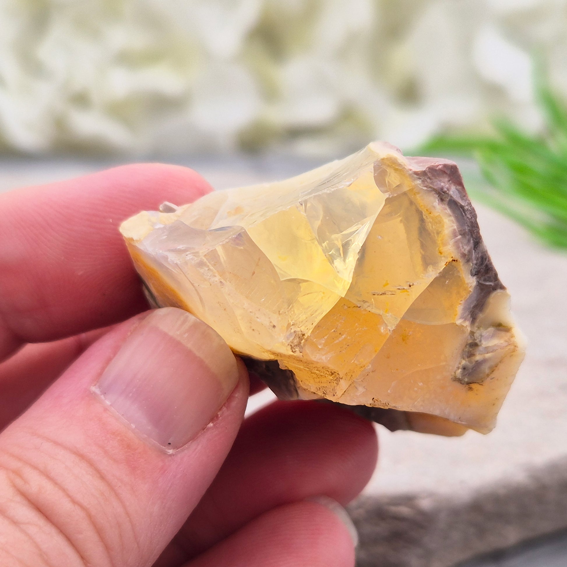 Natural Butte Opal specimen from Oregon. An attractive and unusual crystal with natural character, ideal for collections, displays, and gifting.