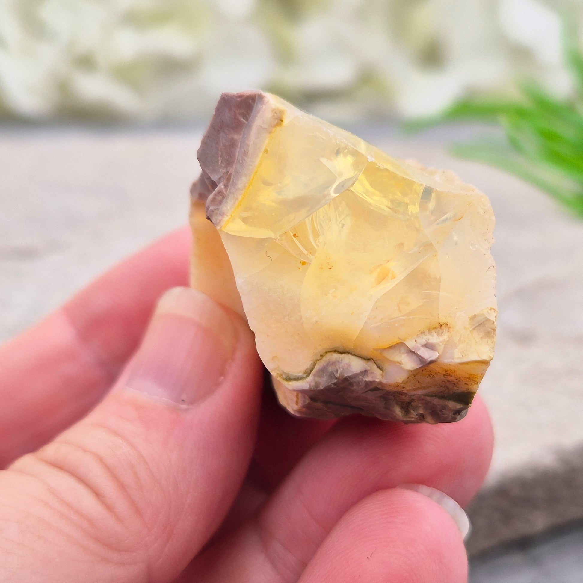 Natural Butte Opal specimen from Oregon. An attractive and unusual crystal with natural character, ideal for collections, displays, and gifting.