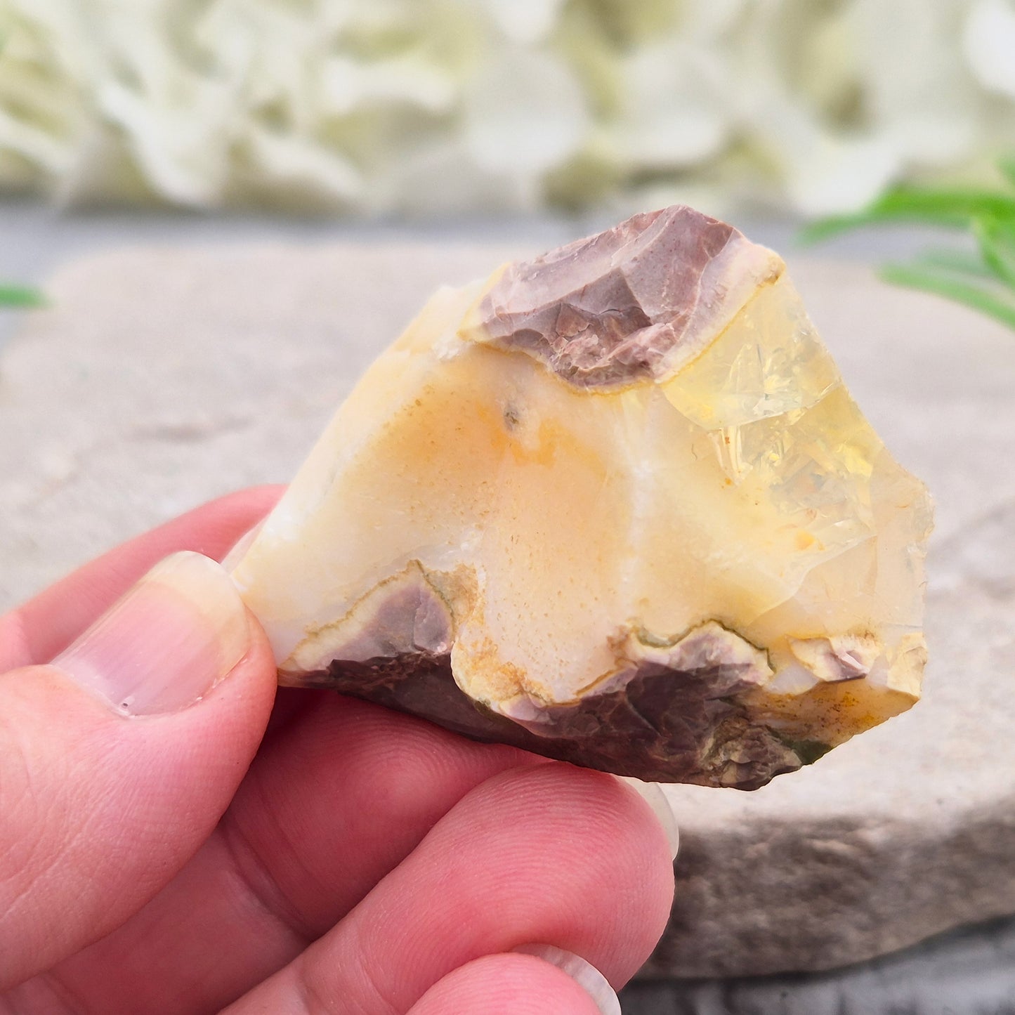 Natural Butte Opal specimen from Oregon. An attractive and unusual crystal with natural character, ideal for collections, displays, and gifting.