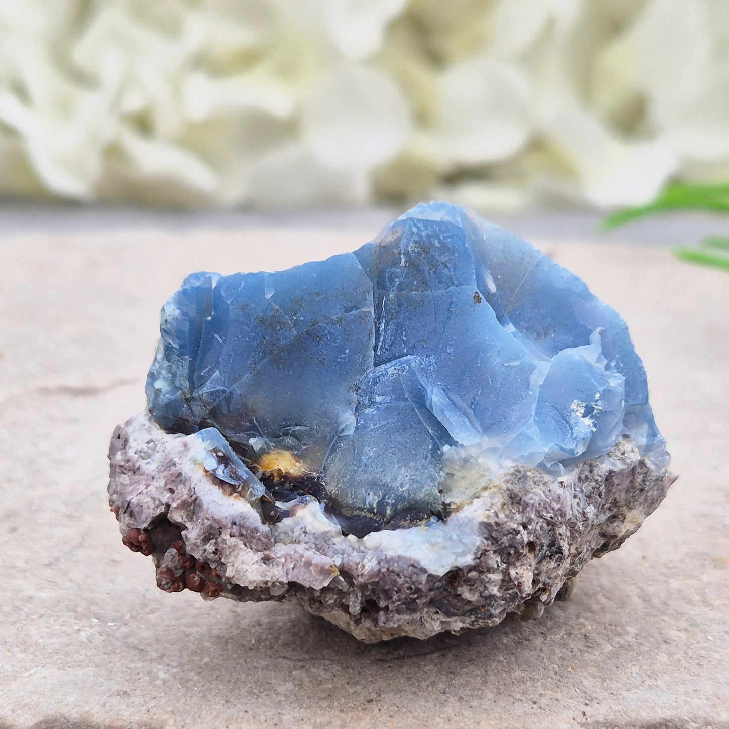 Genuine Blue Butte Opal from Oregon, USA. A natural opal specimen showcasing the unique beauty and individuality of this sought-after locality.