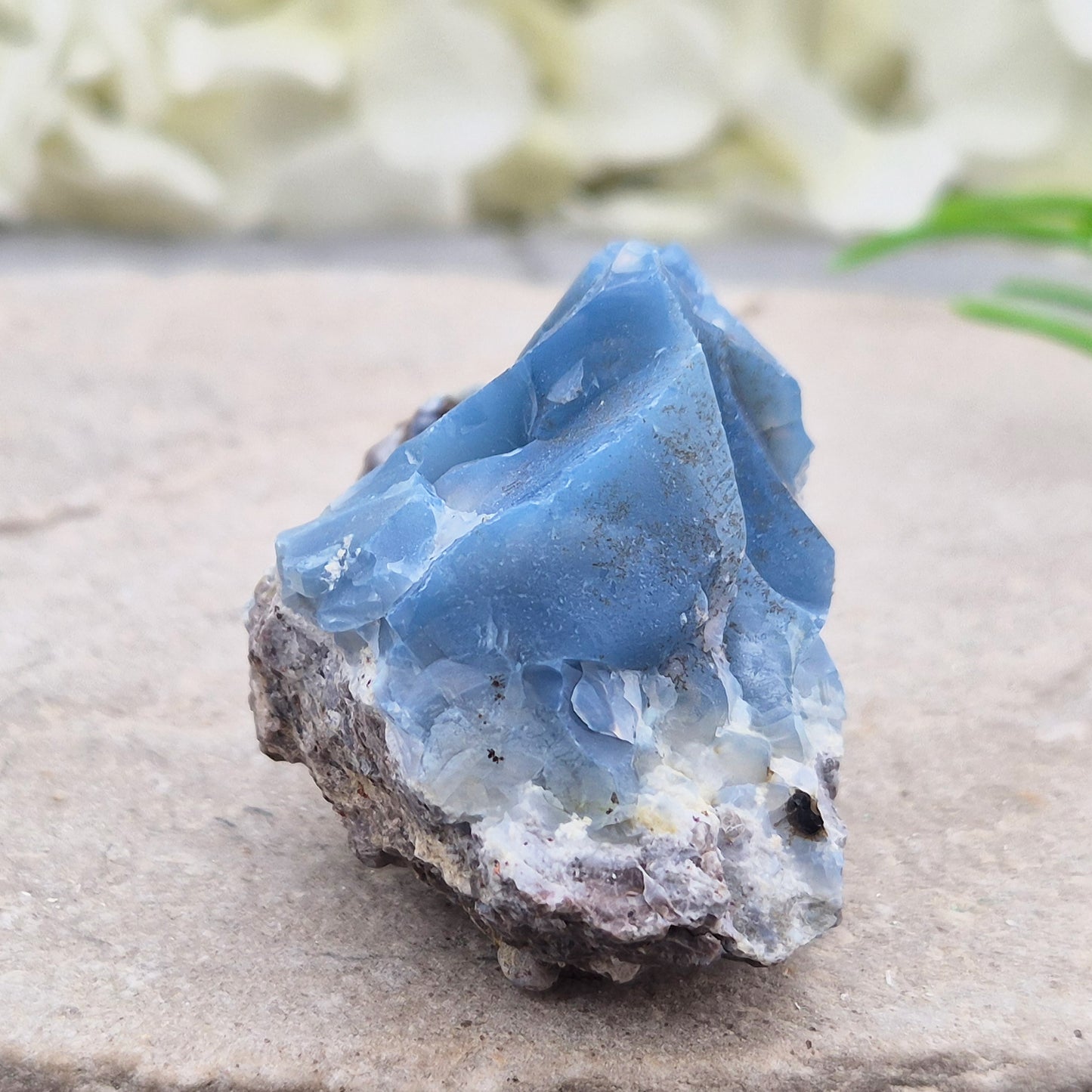 Genuine Blue Butte Opal from Oregon, USA. A natural opal specimen showcasing the unique beauty and individuality of this sought-after locality.
