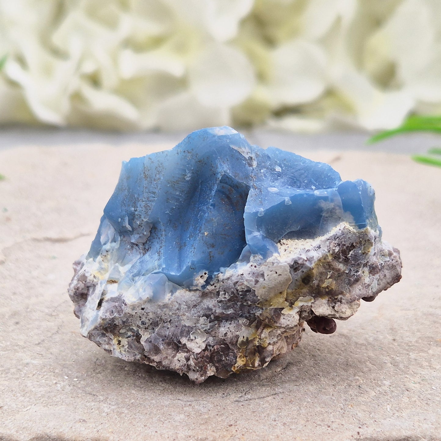 Genuine Blue Butte Opal from Oregon, USA. A natural opal specimen showcasing the unique beauty and individuality of this sought-after locality.