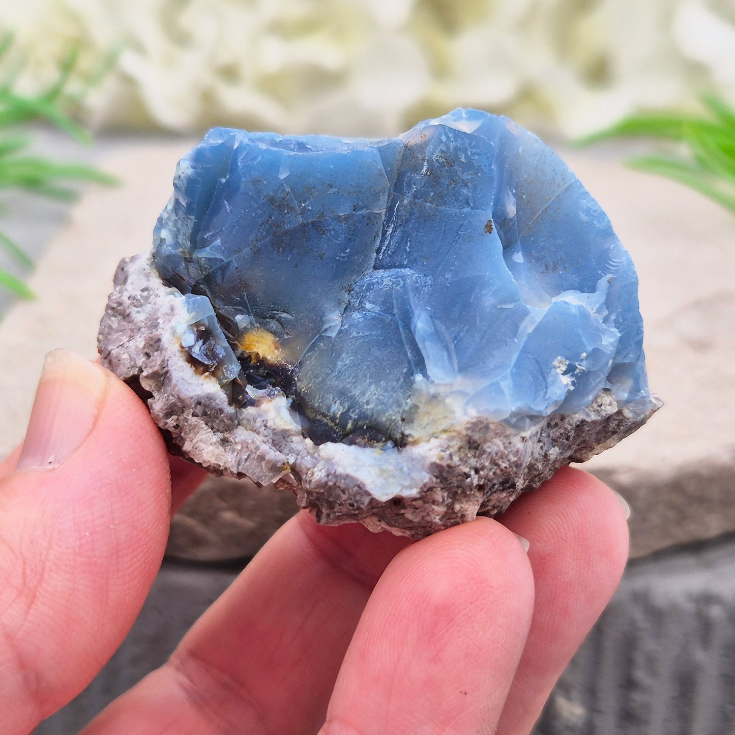 Genuine Blue Butte Opal from Oregon, USA. A natural opal specimen showcasing the unique beauty and individuality of this sought-after locality.