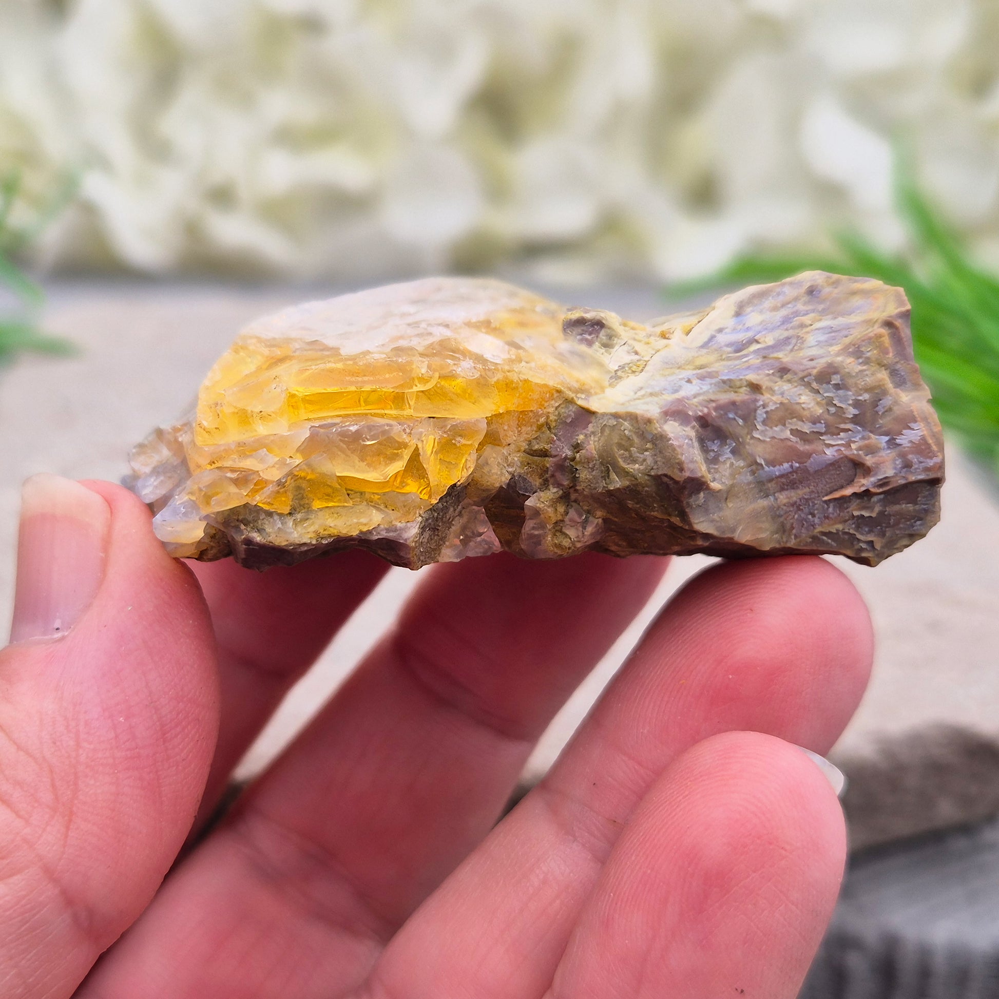 Natural Butte Opal from Oregon, USA. A genuine opal specimen with beautiful natural patterns, perfect for crystal collectors and mineral displays.