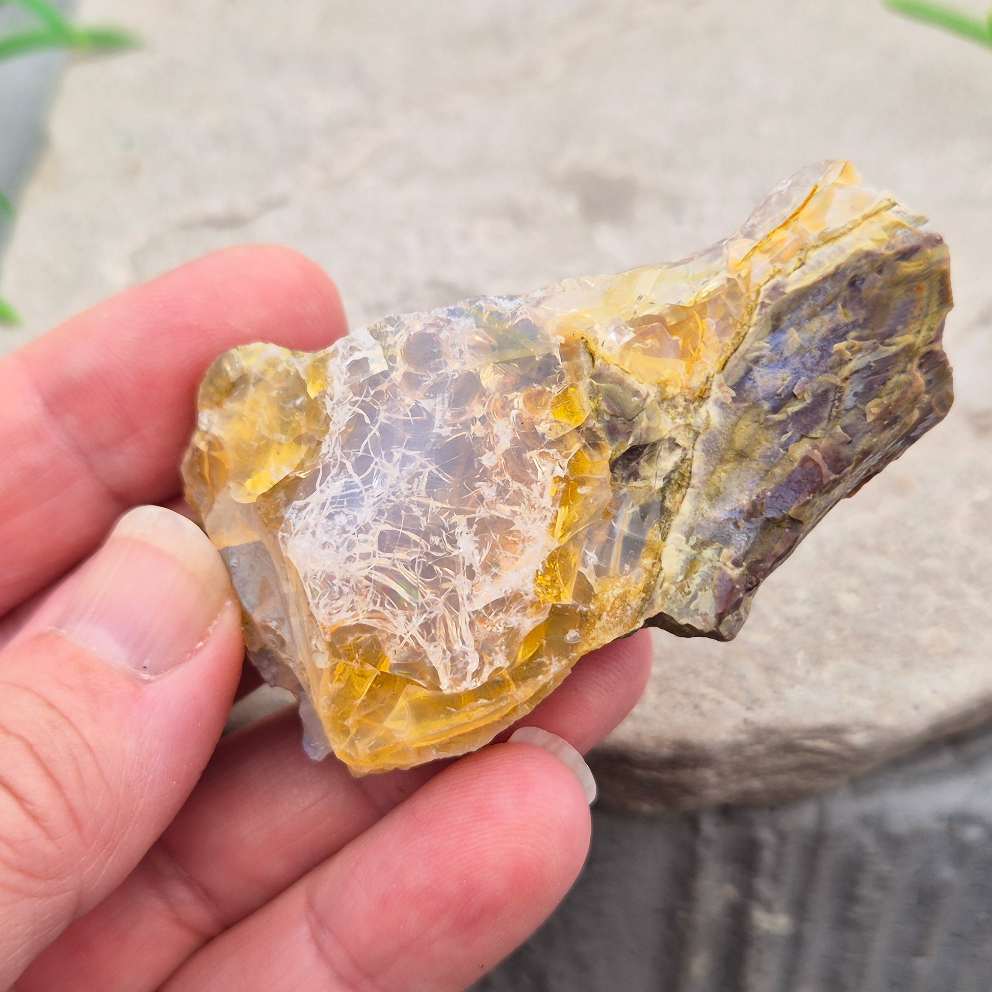 Natural Butte Opal from Oregon, USA. A genuine opal specimen with beautiful natural patterns, perfect for crystal collectors and mineral displays.