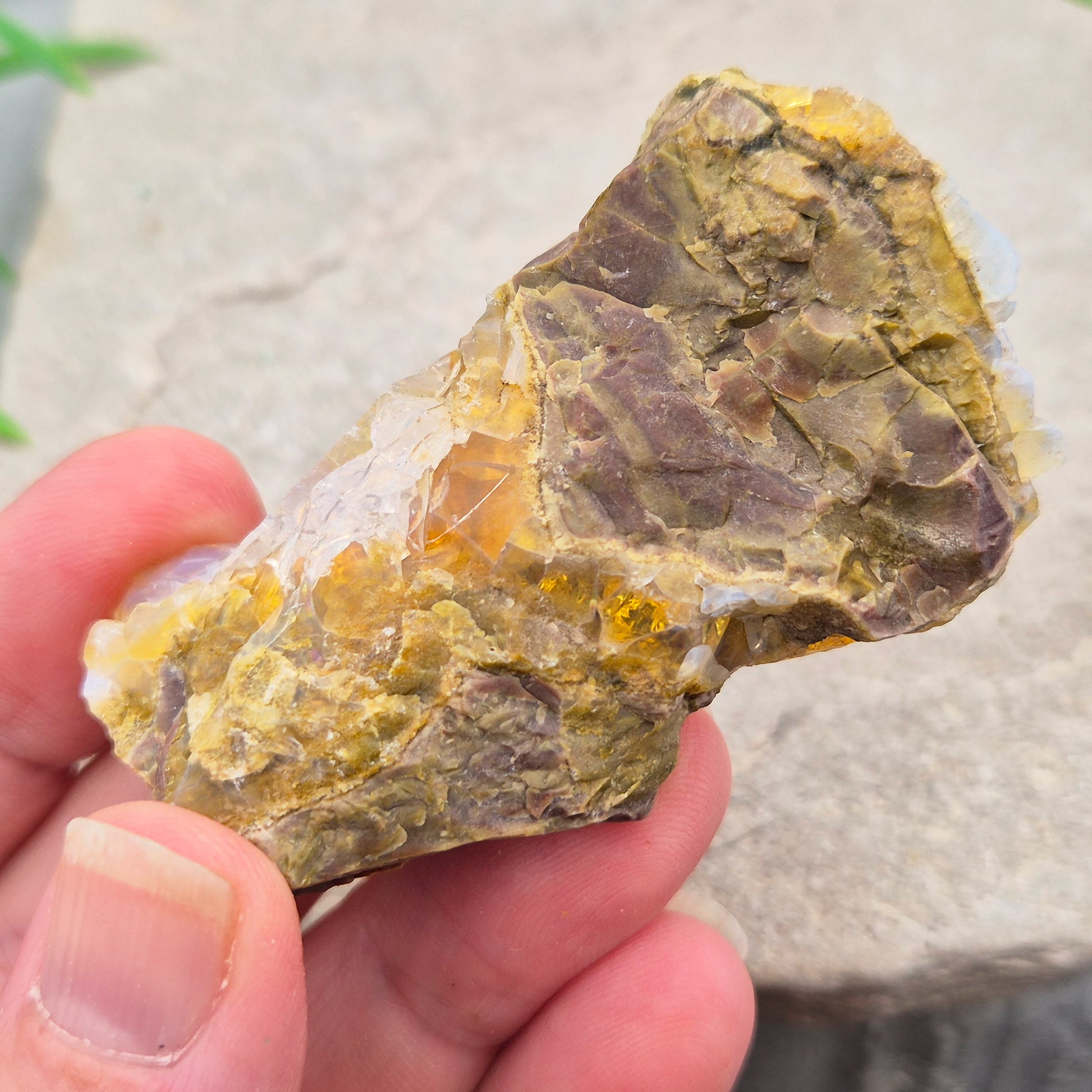 Natural Butte Opal from Oregon, USA. A genuine opal specimen with beautiful natural patterns, perfect for crystal collectors and mineral displays.