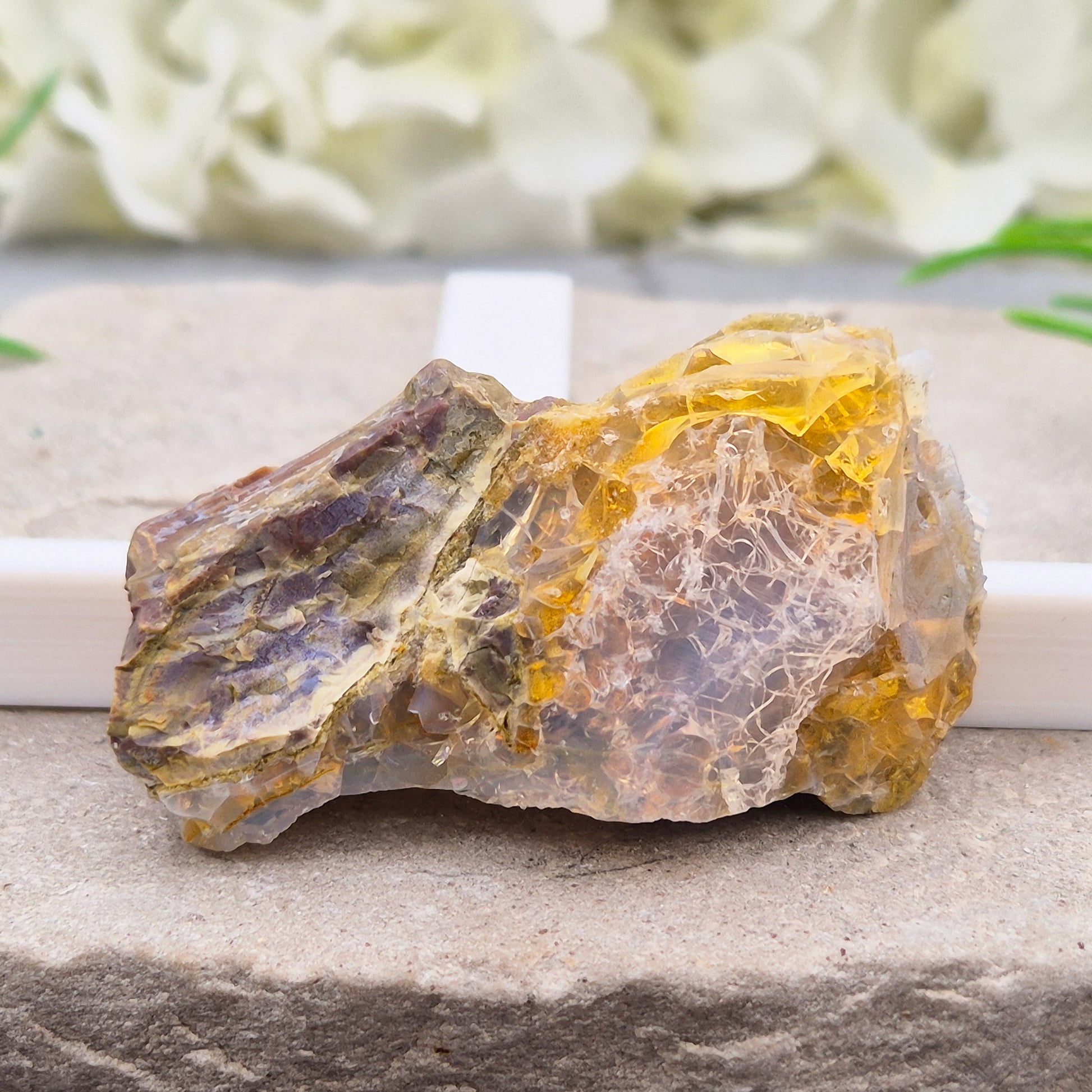 Natural Butte Opal from Oregon, USA. A genuine opal specimen with beautiful natural patterns, perfect for crystal collectors and mineral displays.