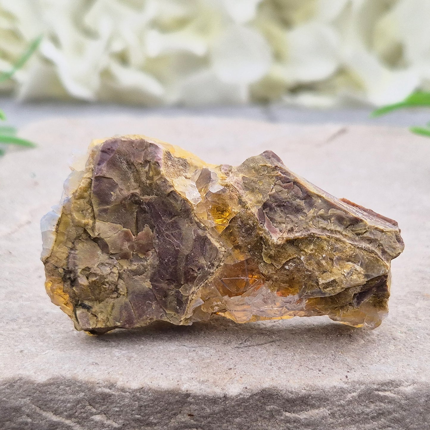 Natural Butte Opal from Oregon, USA. A genuine opal specimen with beautiful natural patterns, perfect for crystal collectors and mineral displays.