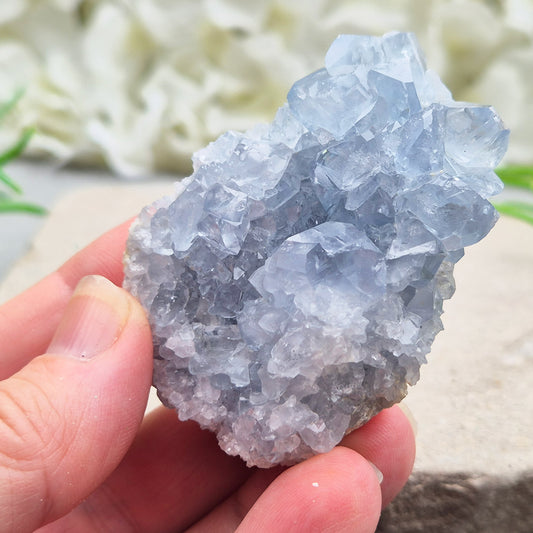 Celestite Cluster with sparkling blue crystals. A beautiful display piece loved for its gentle energy, peaceful presence, and natural beauty.