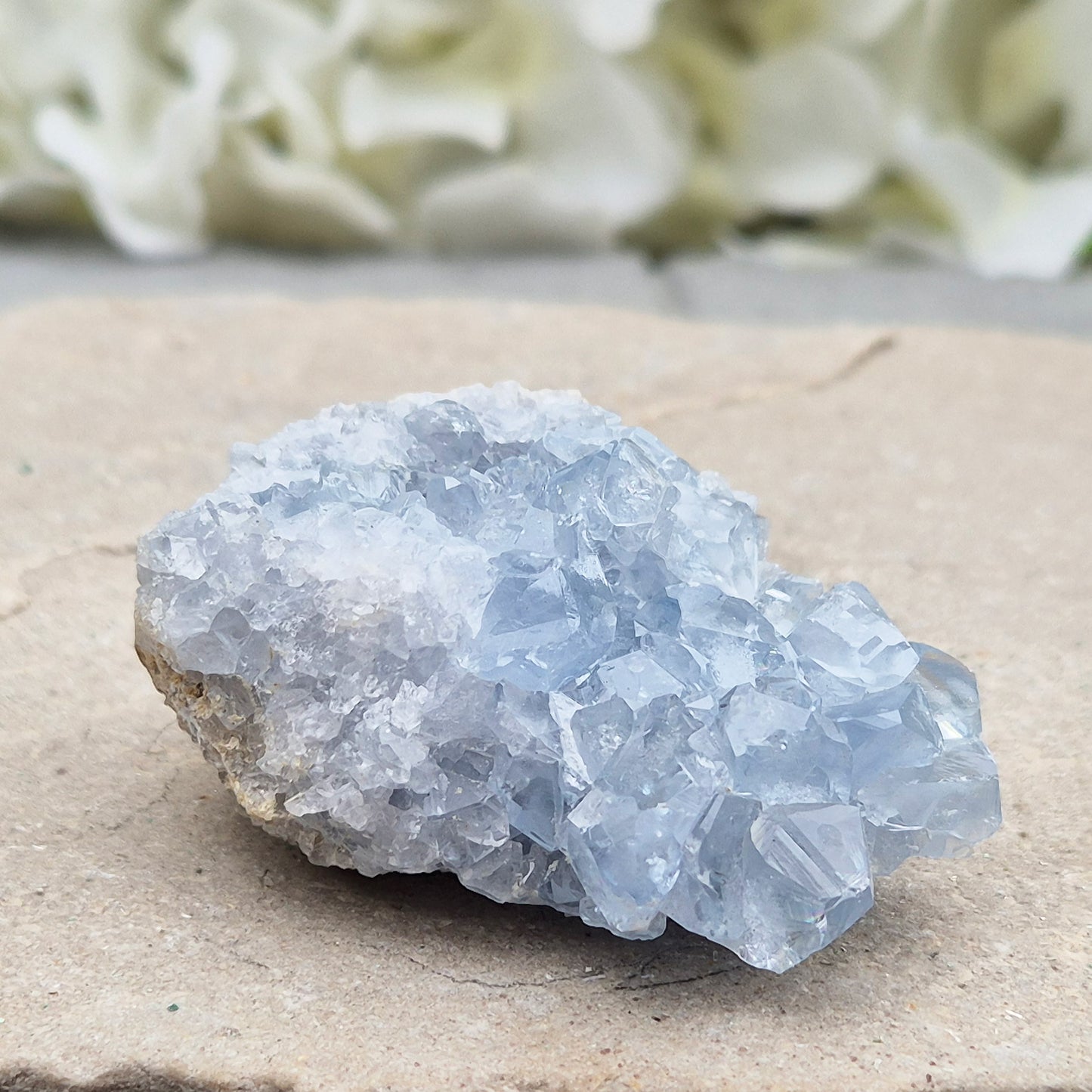 Celestite Cluster with sparkling blue crystals. A beautiful display piece loved for its gentle energy, peaceful presence, and natural beauty.