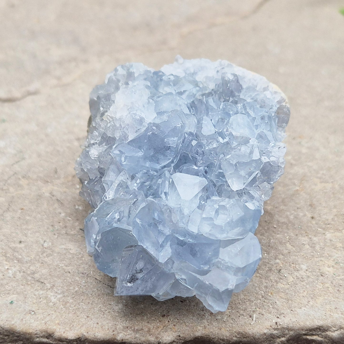 Celestite Cluster with sparkling blue crystals. A beautiful display piece loved for its gentle energy, peaceful presence, and natural beauty.