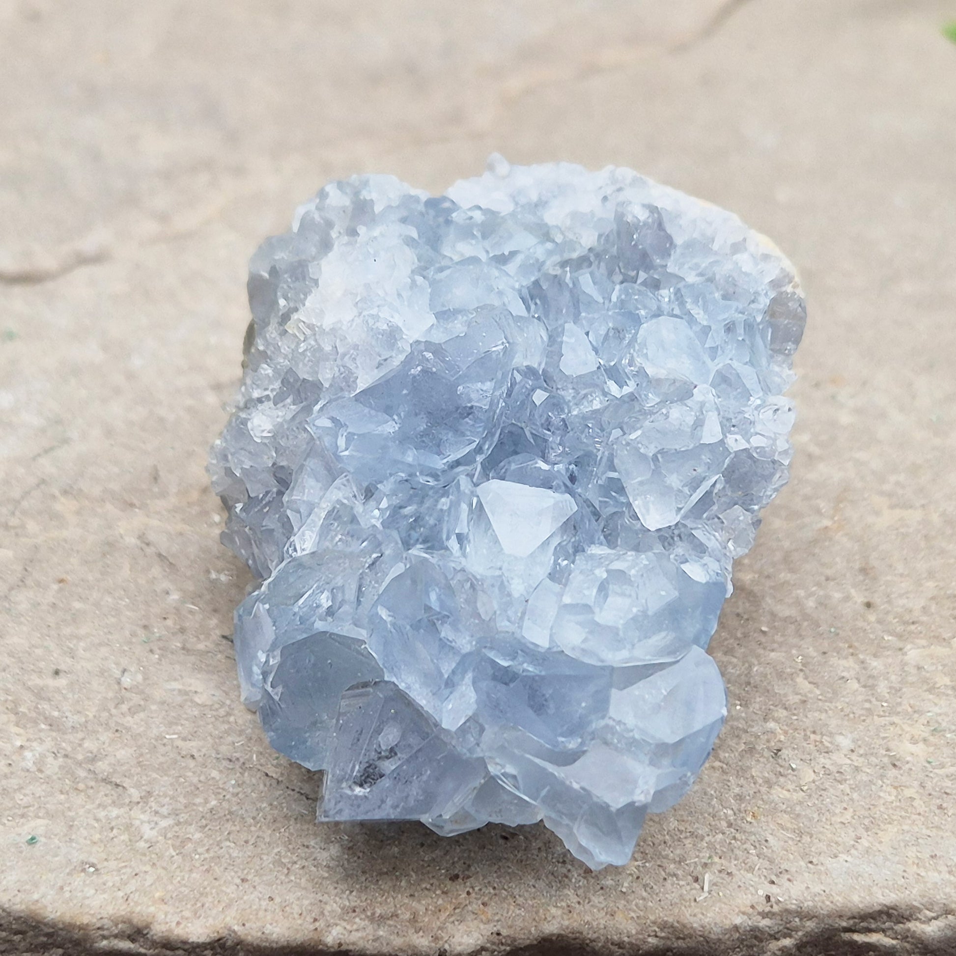 Celestite Cluster with sparkling blue crystals. A beautiful display piece loved for its gentle energy, peaceful presence, and natural beauty.