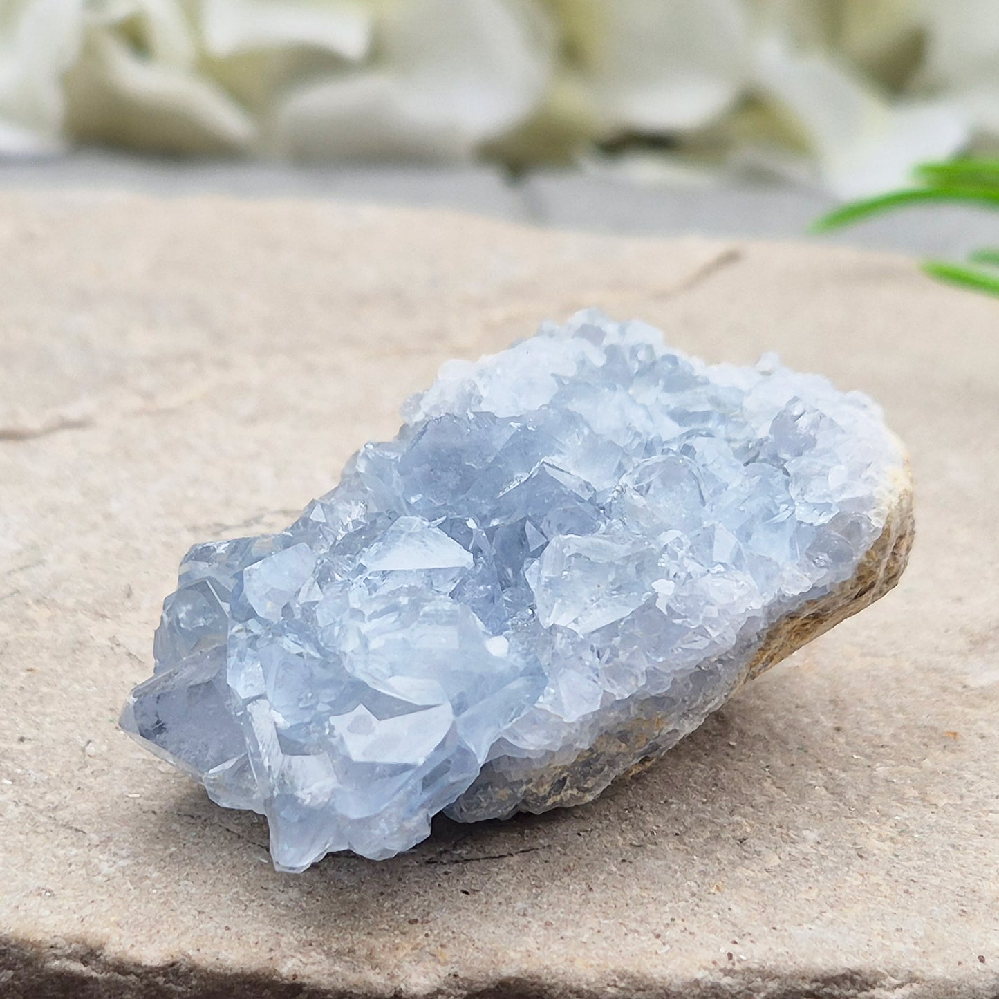Celestite Cluster with sparkling blue crystals. A beautiful display piece loved for its gentle energy, peaceful presence, and natural beauty.