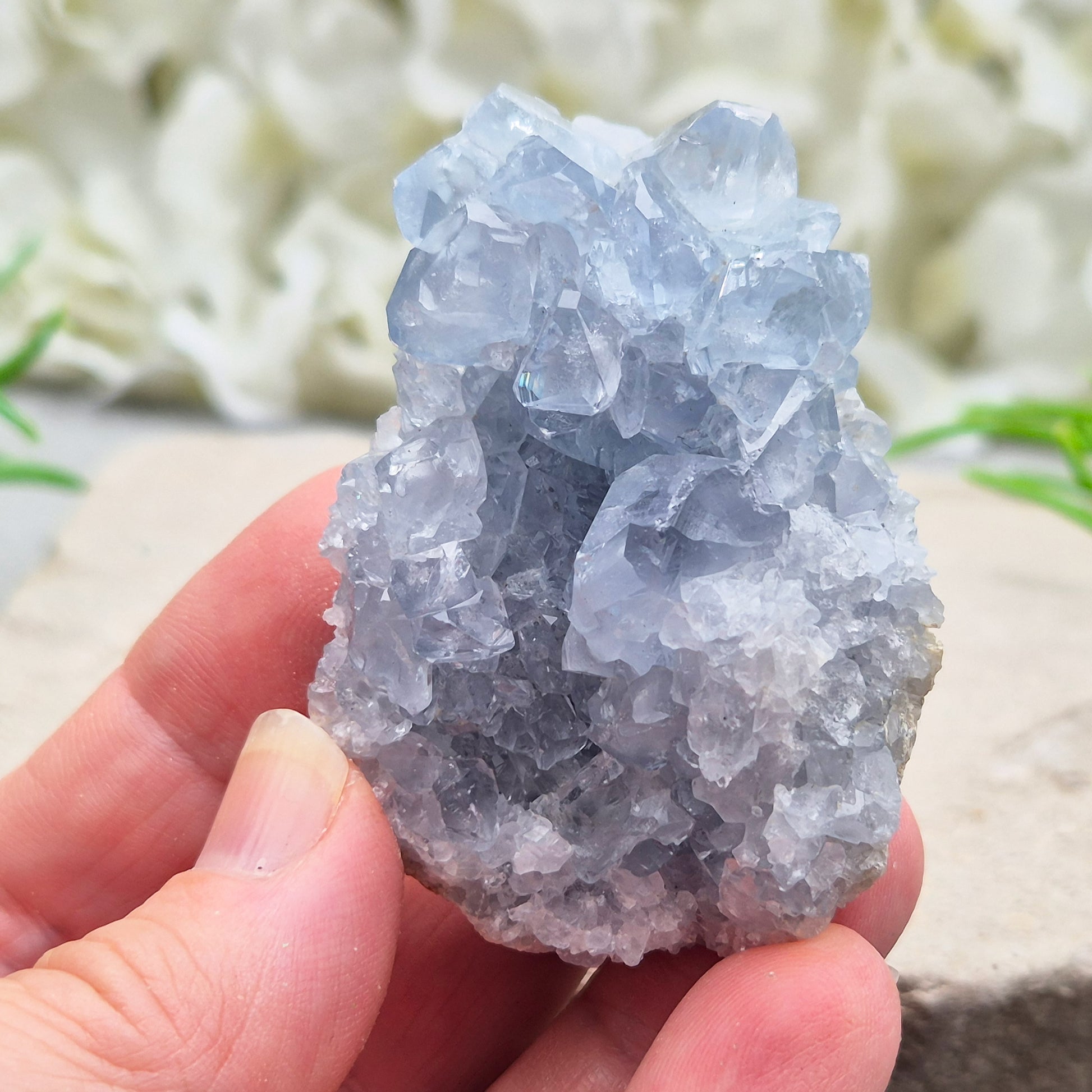 Celestite Cluster with sparkling blue crystals. A beautiful display piece loved for its gentle energy, peaceful presence, and natural beauty.