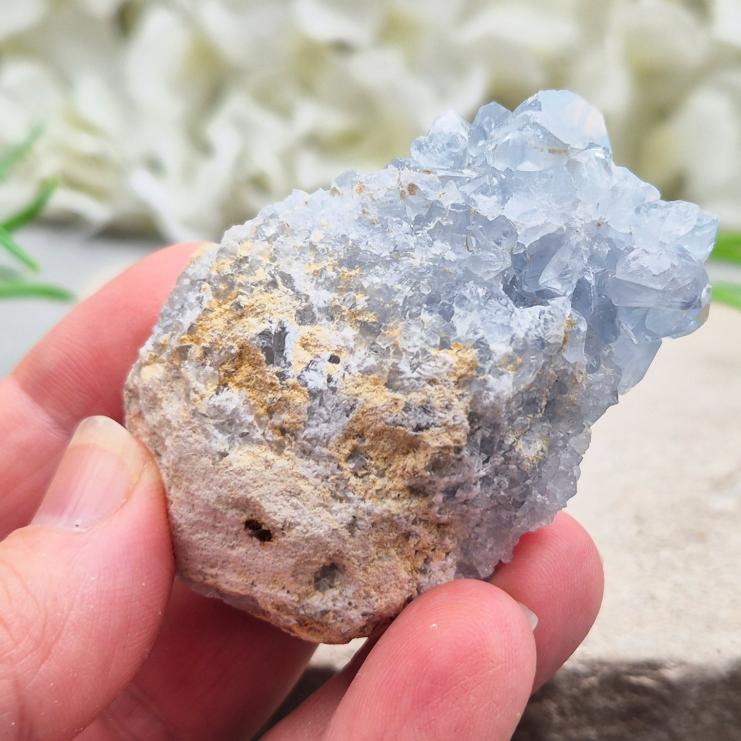 Celestite Cluster with sparkling blue crystals. A beautiful display piece loved for its gentle energy, peaceful presence, and natural beauty.