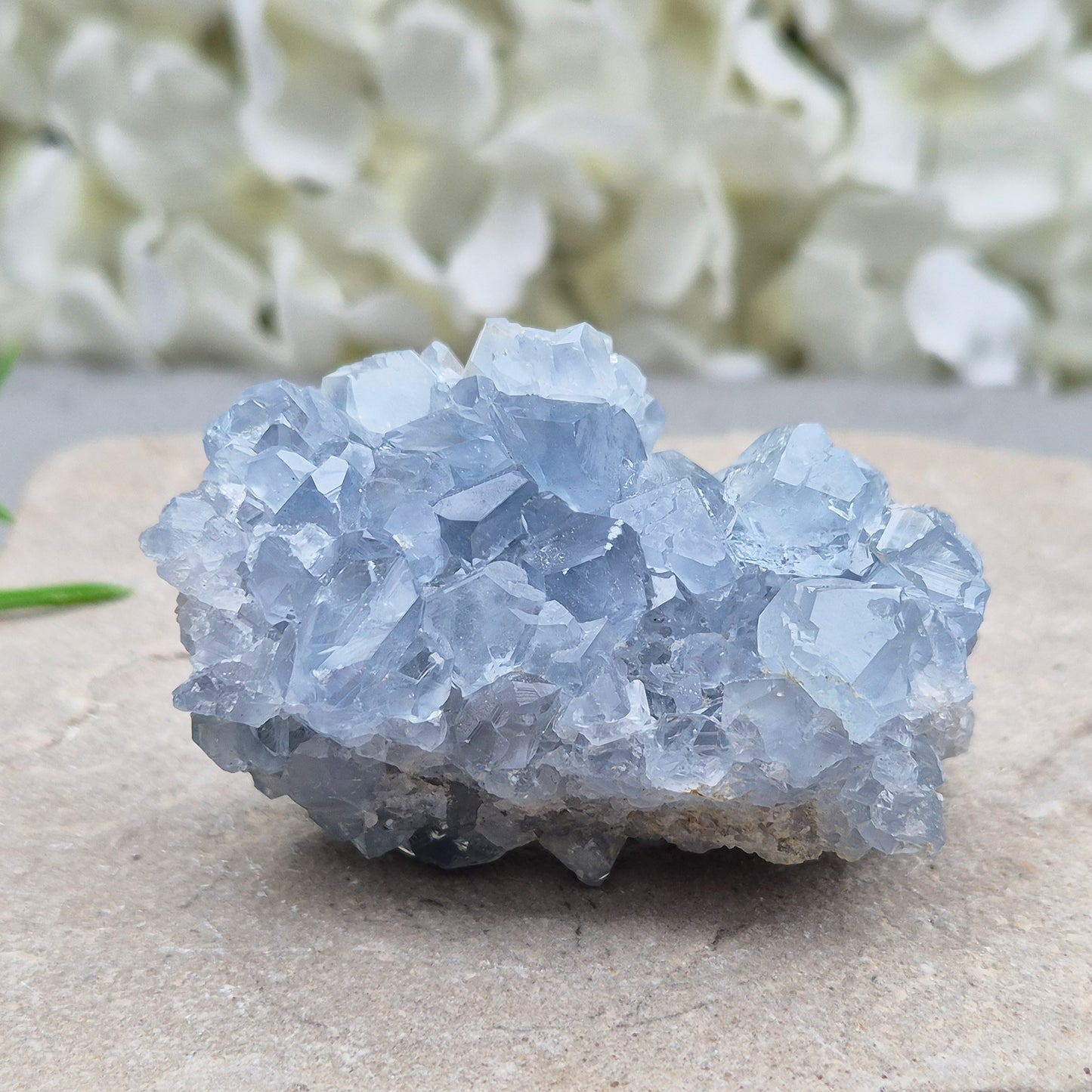 Natural Celestite Crystal Cluster featuring delicate blue crystals. Perfect for crystal collections, home décor, gifting, and spiritual spaces.