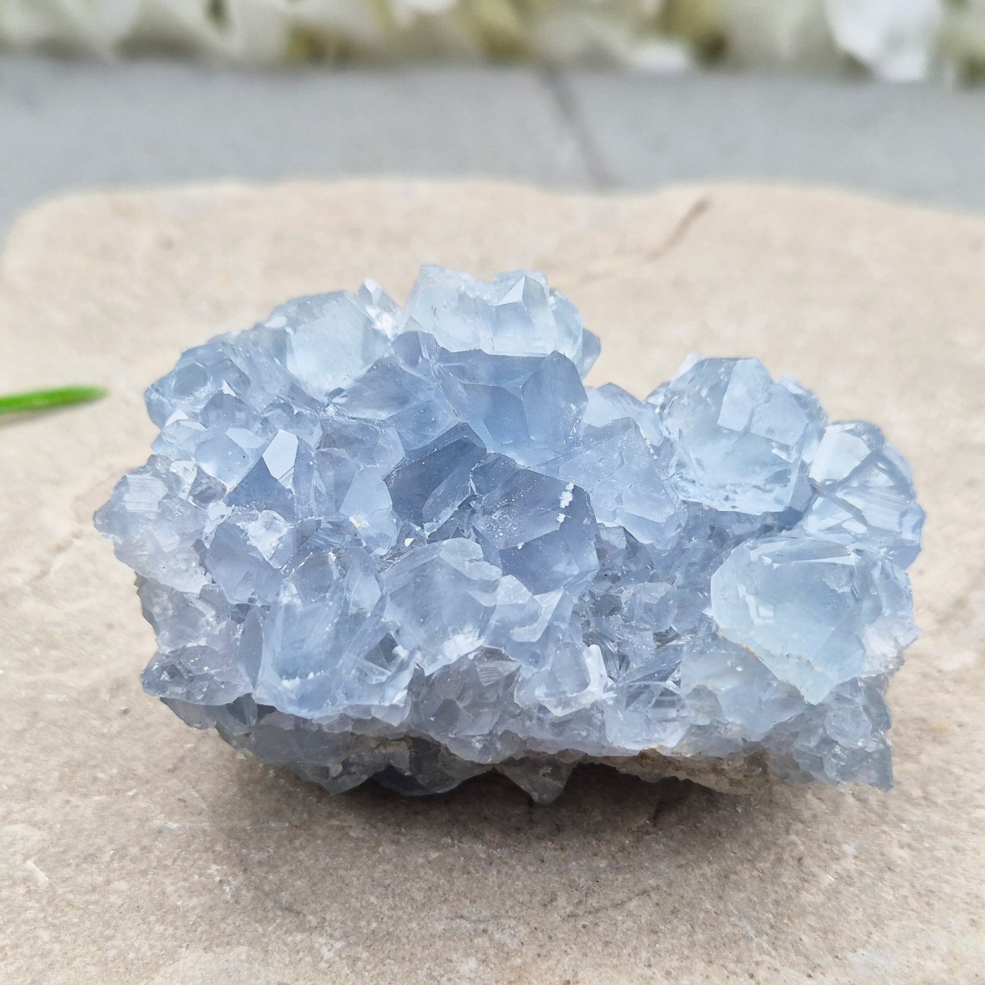 Natural Celestite Crystal Cluster featuring delicate blue crystals. Perfect for crystal collections, home décor, gifting, and spiritual spaces.