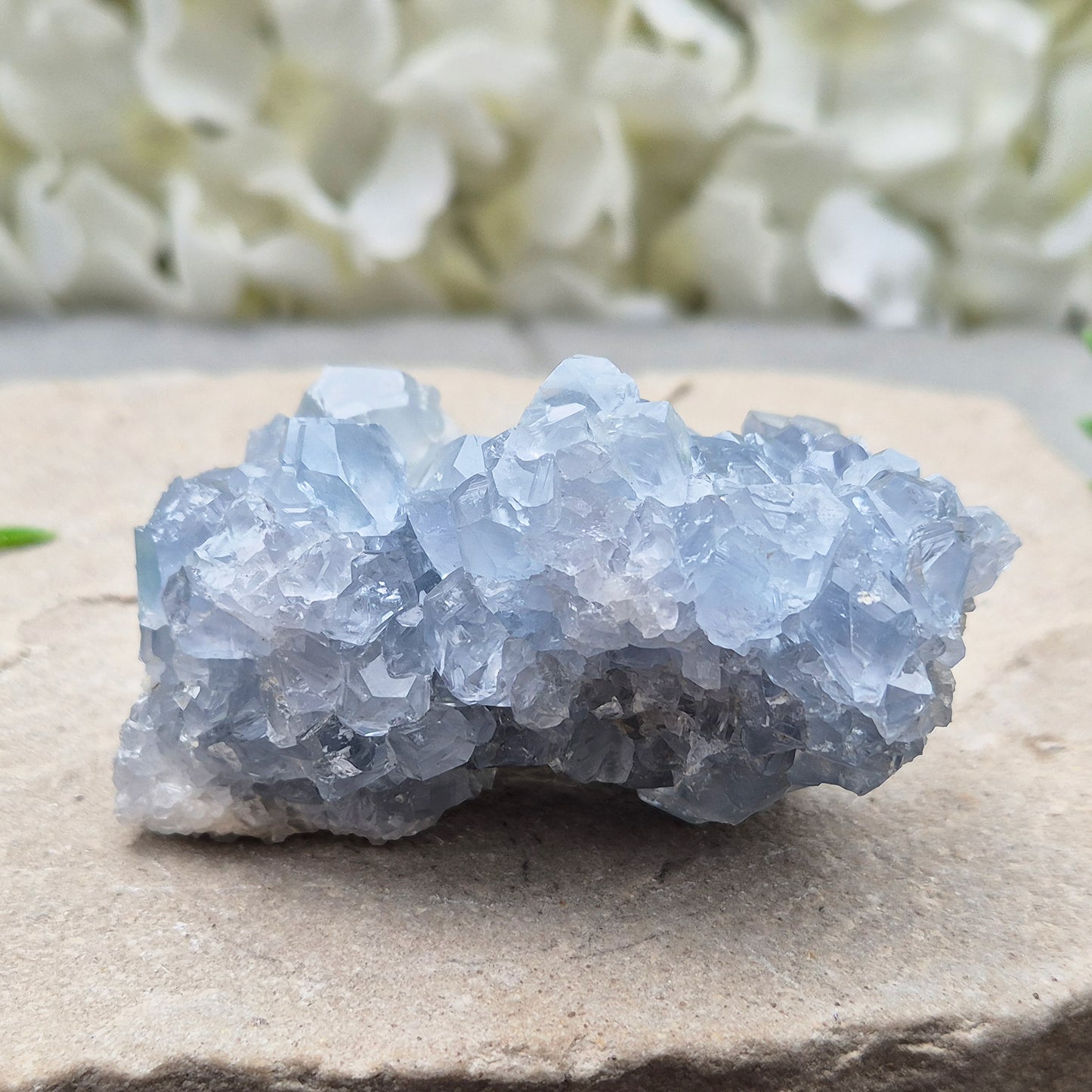 Natural Celestite Crystal Cluster featuring delicate blue crystals. Perfect for crystal collections, home décor, gifting, and spiritual spaces.