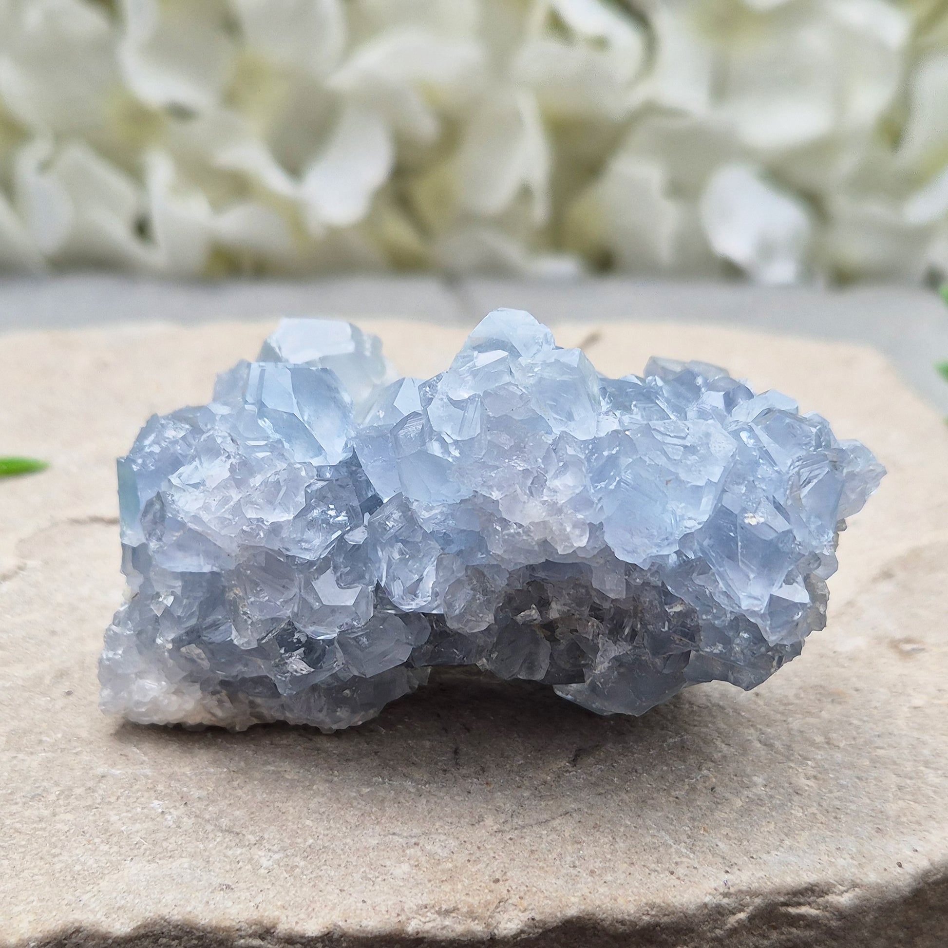 Natural Celestite Crystal Cluster featuring delicate blue crystals. Perfect for crystal collections, home décor, gifting, and spiritual spaces.