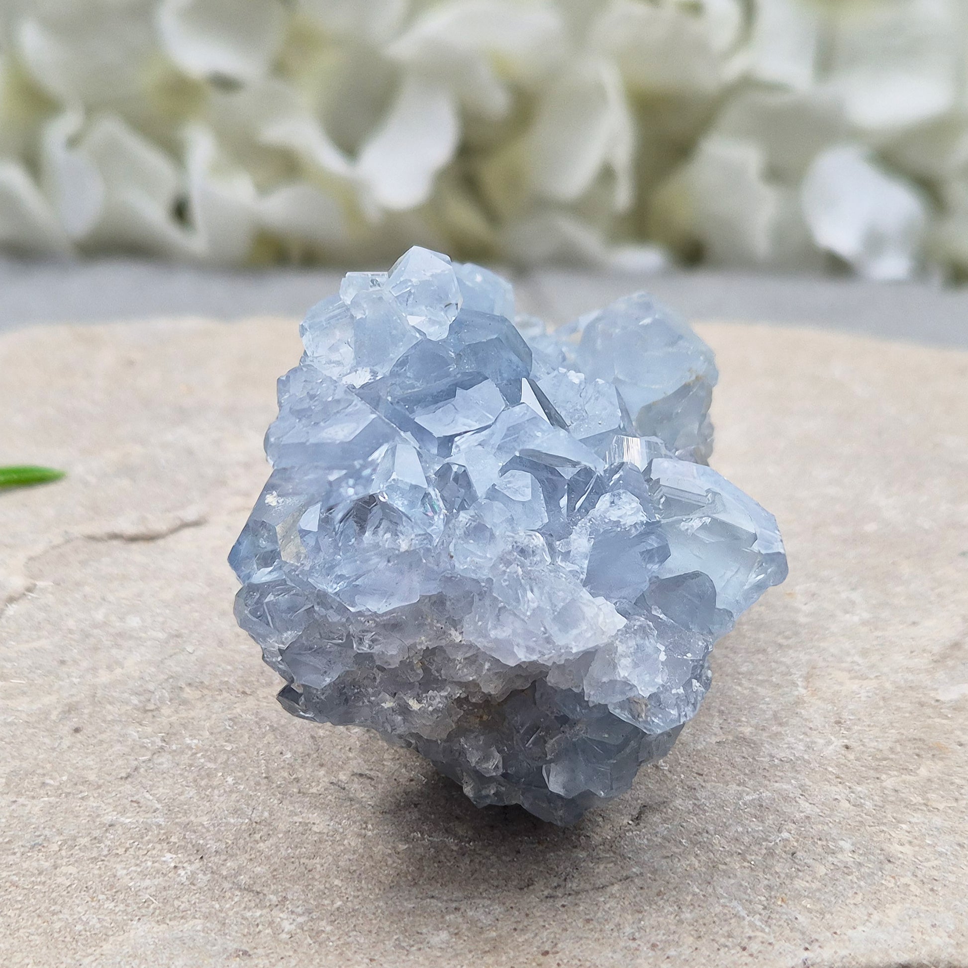 Natural Celestite Crystal Cluster featuring delicate blue crystals. Perfect for crystal collections, home décor, gifting, and spiritual spaces.