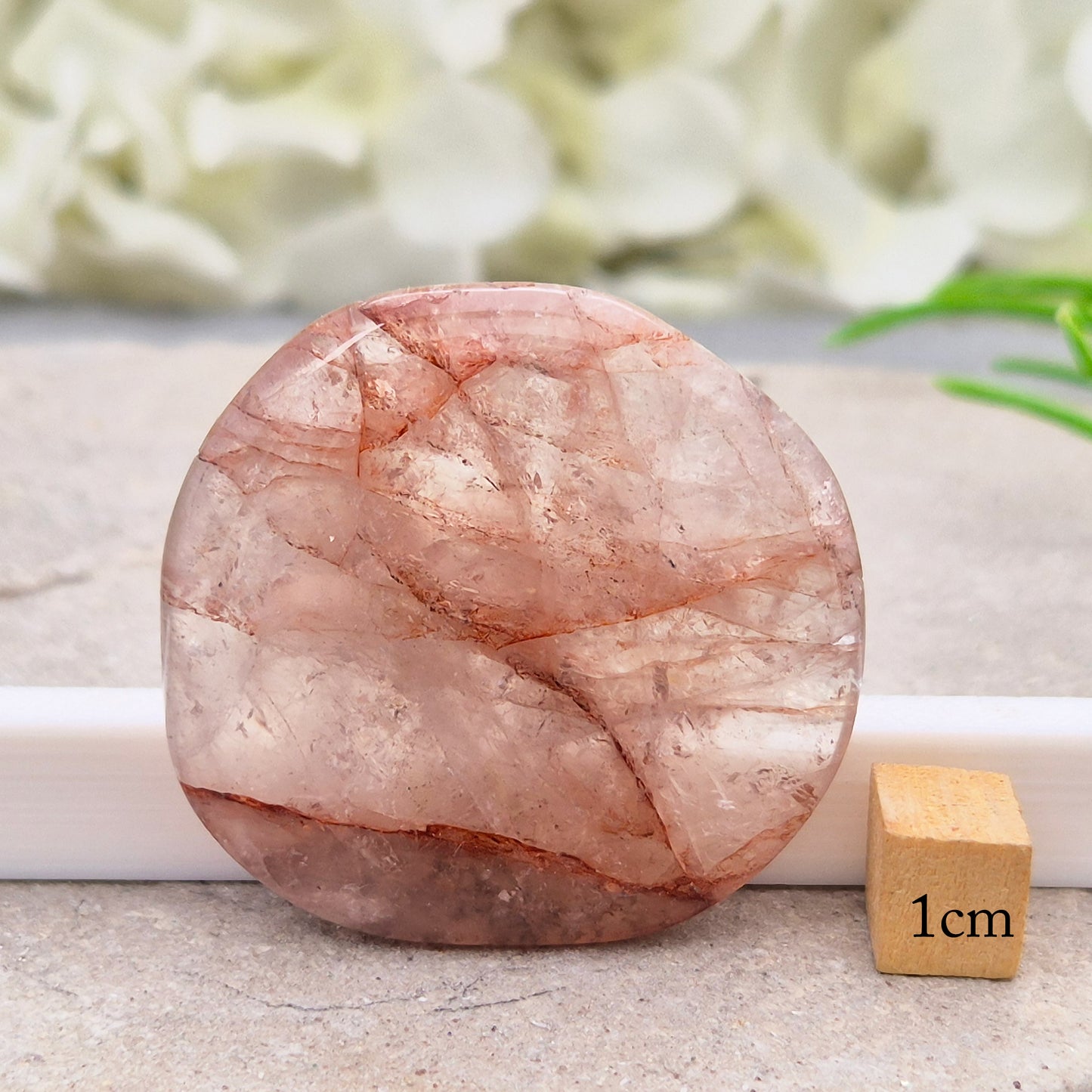 Shop this natural Crimson Healer Palm Stone with beautiful rainbows and Hematite inclusions. A grounding crystal for confidence, focus and balance.