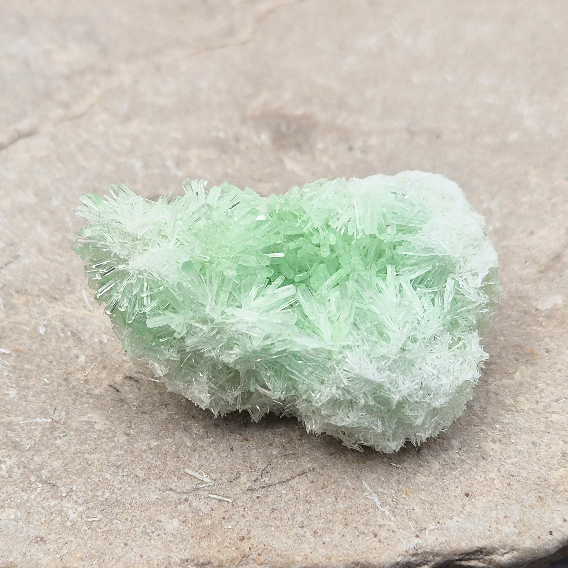 Rare Green Gypsum Cluster from Australia. Soft needle crystal sprays supporting calm thoughts, emotional balance and peaceful reflective energy.