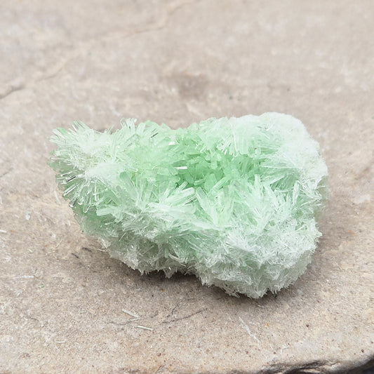 Rare Green Gypsum Cluster from Australia. Soft needle crystal sprays supporting calm thoughts, emotional balance and peaceful reflective energy.