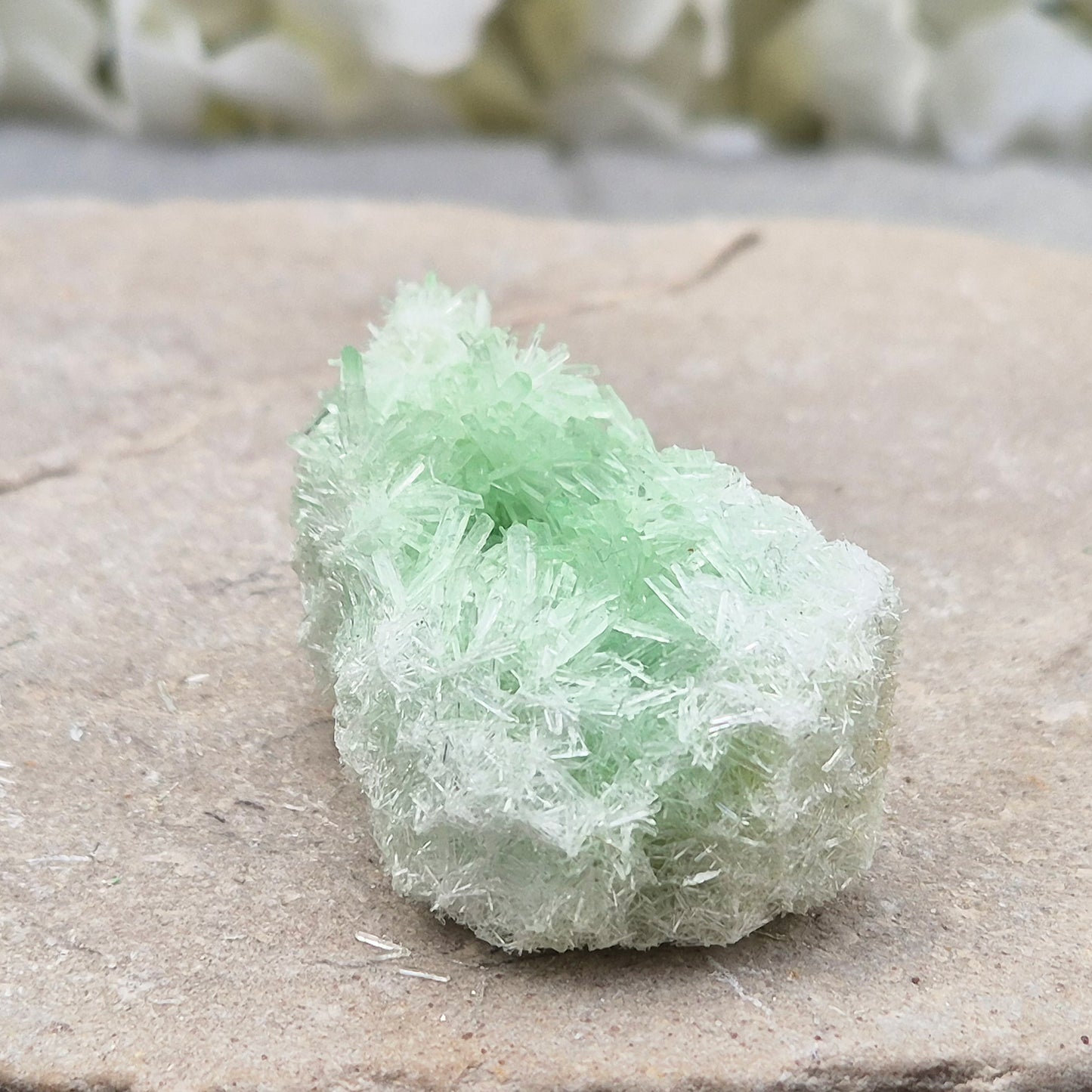 Rare Green Gypsum Cluster from Australia. Soft needle crystal sprays supporting calm thoughts, emotional balance and peaceful reflective energy.