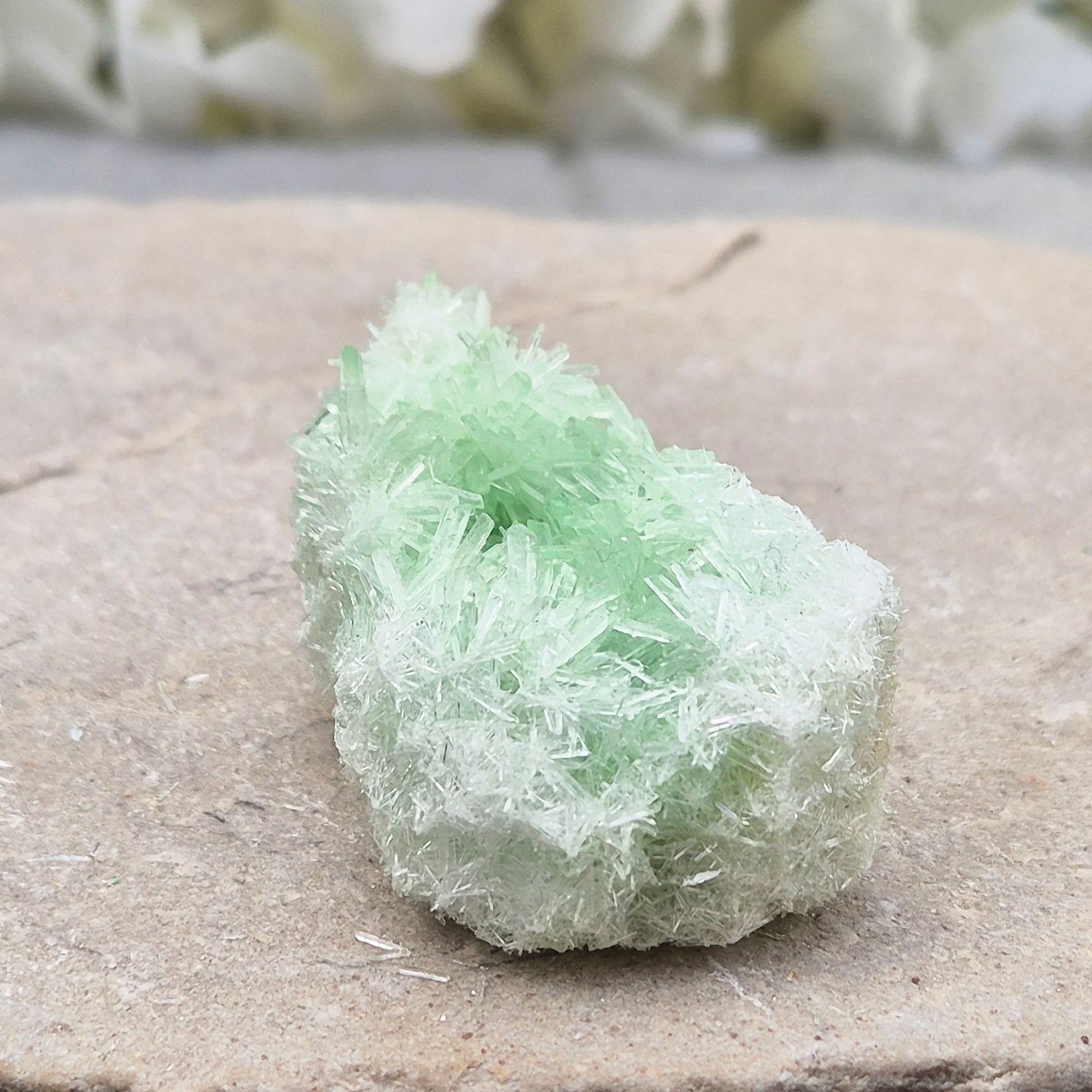 Rare Green Gypsum Cluster from Australia. Soft needle crystal sprays supporting calm thoughts, emotional balance and peaceful reflective energy.
