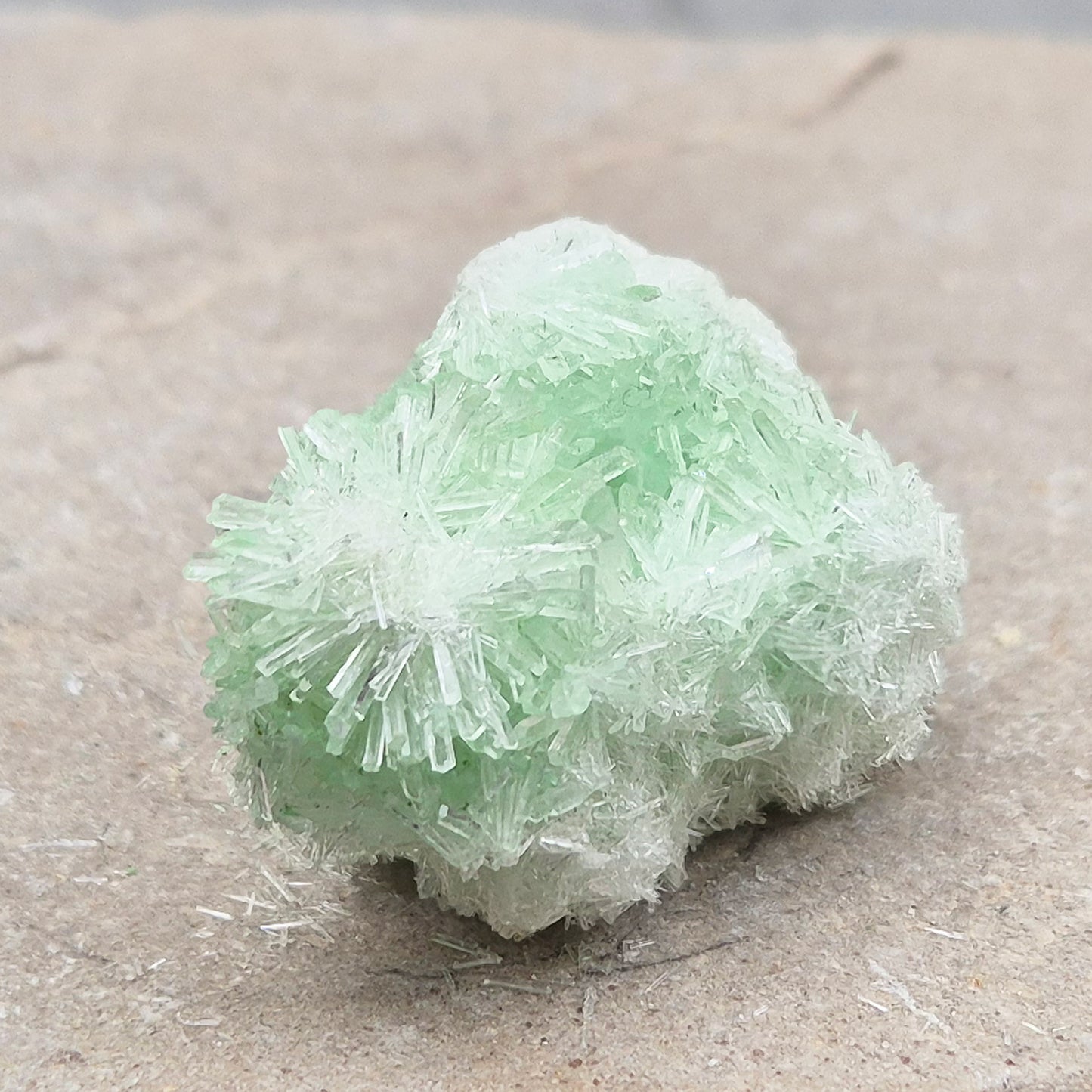 Rare Green Gypsum Cluster from Australia. Soft needle crystal sprays supporting calm thoughts, emotional balance and peaceful reflective energy.