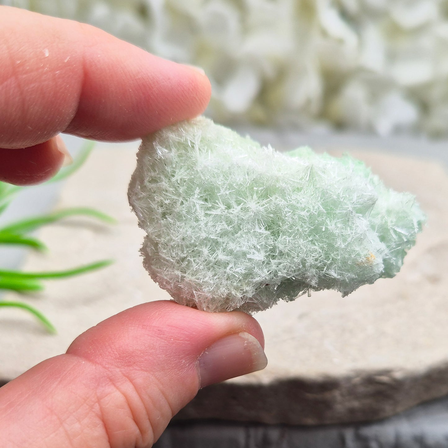 Rare Green Gypsum Cluster from Australia. Soft needle crystal sprays supporting calm thoughts, emotional balance and peaceful reflective energy.