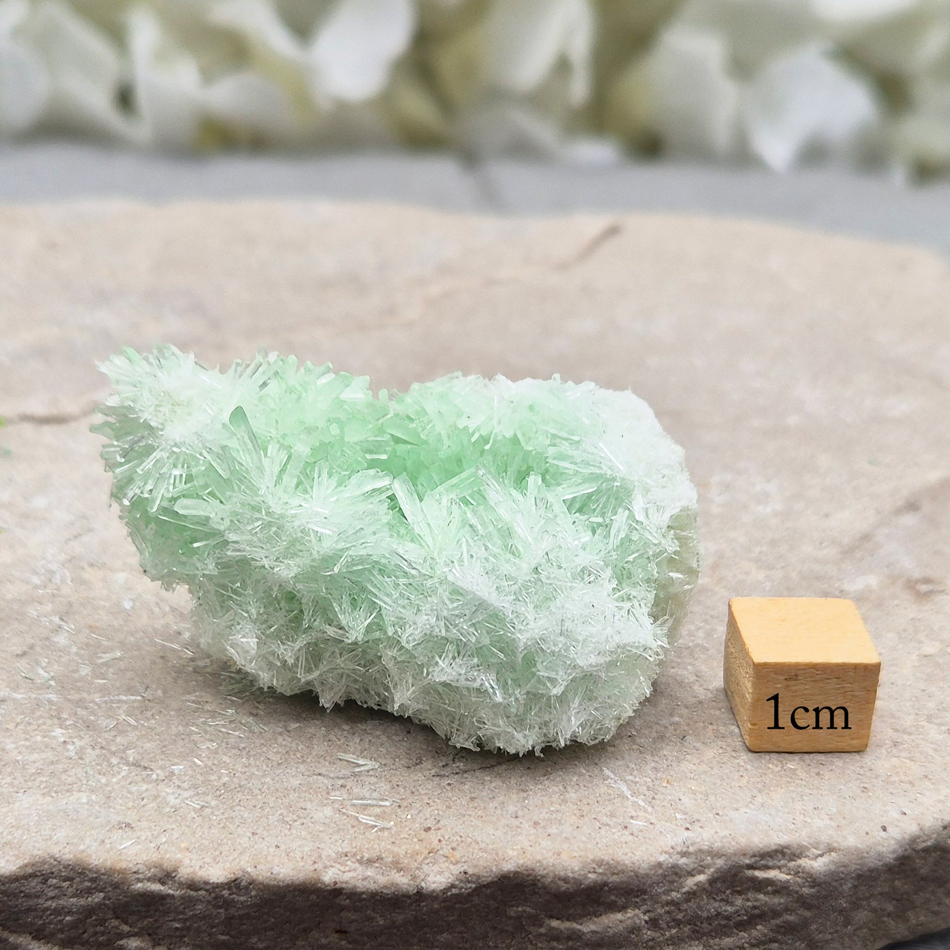 Rare Green Gypsum Cluster from Australia. Soft needle crystal sprays supporting calm thoughts, emotional balance and peaceful reflective energy.