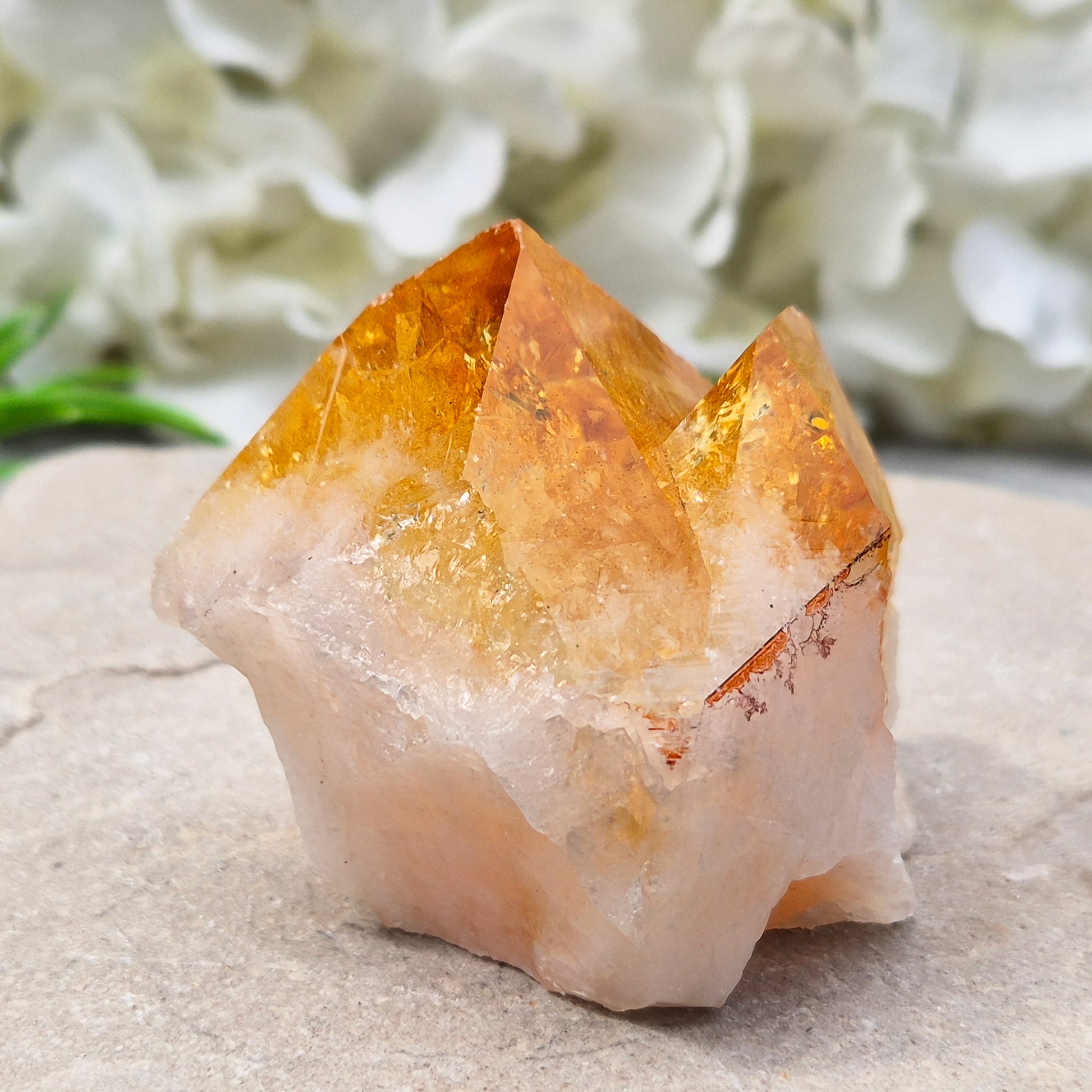 Citrine attracts abundance, joy, and success while boosting positivity, confidence, and creativity. It balances chakras, protects your aura, and improves focus.