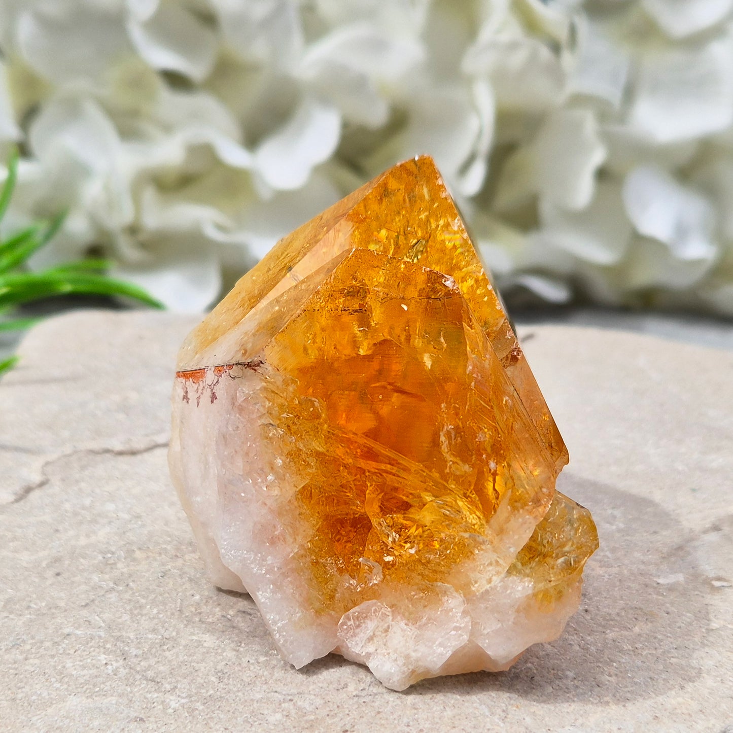 Citrine attracts abundance, joy, and success while boosting positivity, confidence, and creativity. It balances chakras, protects your aura, and improves focus.