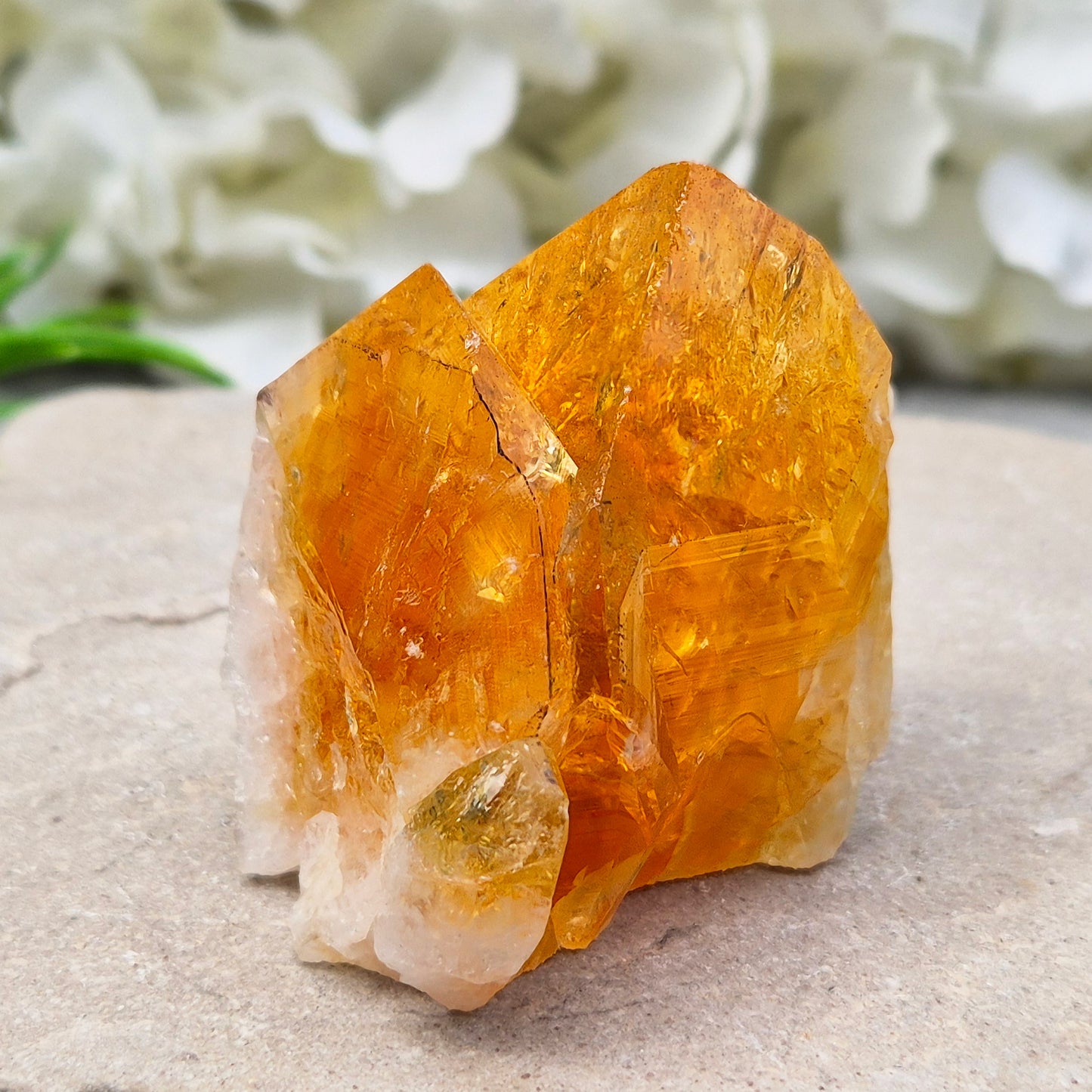 Citrine attracts abundance, joy, and success while boosting positivity, confidence, and creativity. It balances chakras, protects your aura, and improves focus.