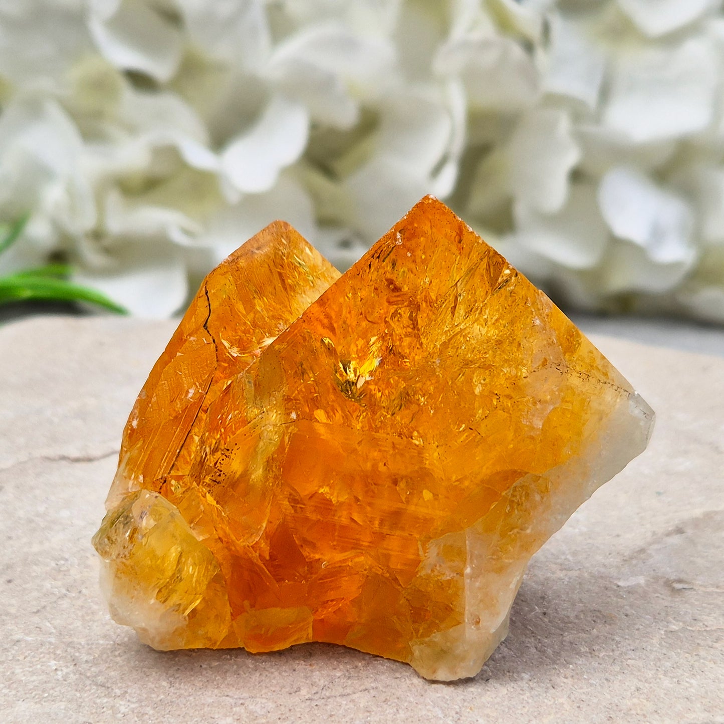 Citrine attracts abundance, joy, and success while boosting positivity, confidence, and creativity. It balances chakras, protects your aura, and improves focus.