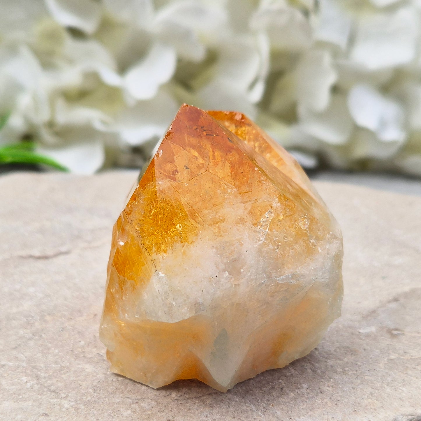 Citrine attracts abundance, joy, and success while boosting positivity, confidence, and creativity. It balances chakras, protects your aura, and improves focus.