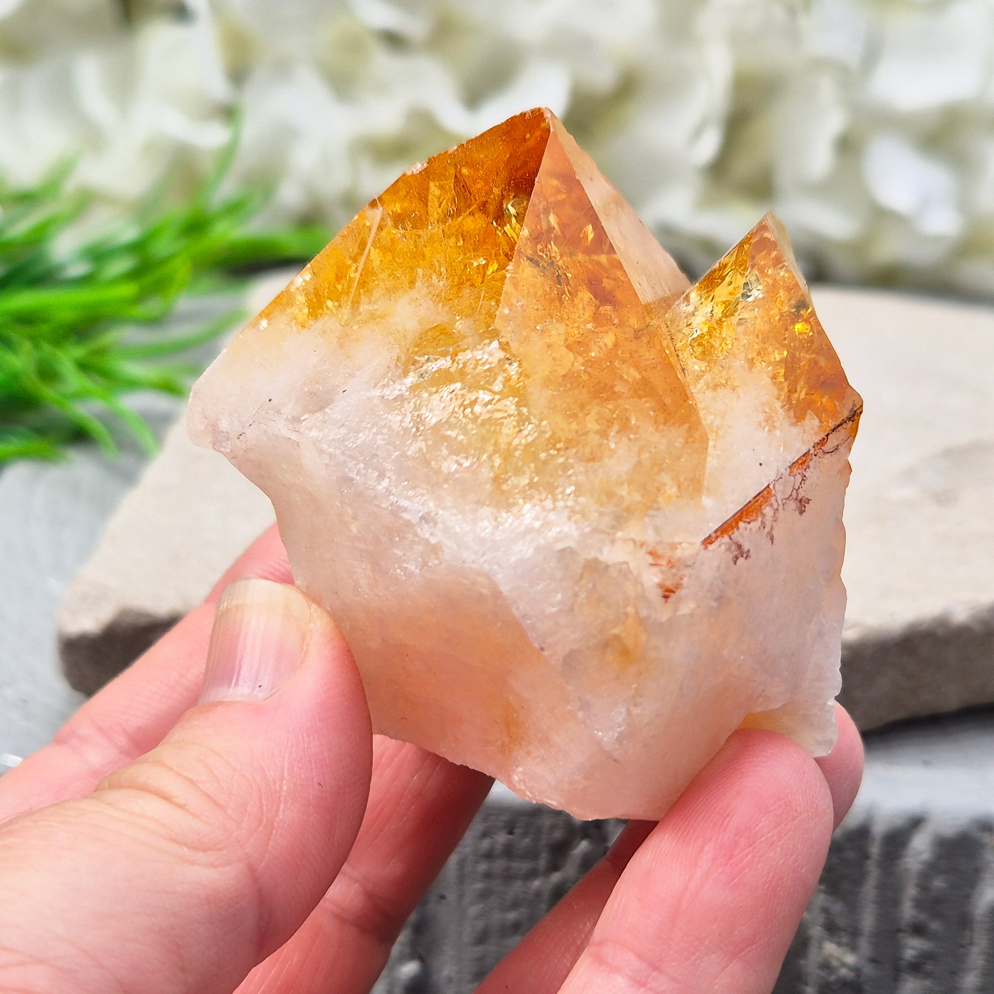 Citrine attracts abundance, joy, and success while boosting positivity, confidence, and creativity. It balances chakras, protects your aura, and improves focus.