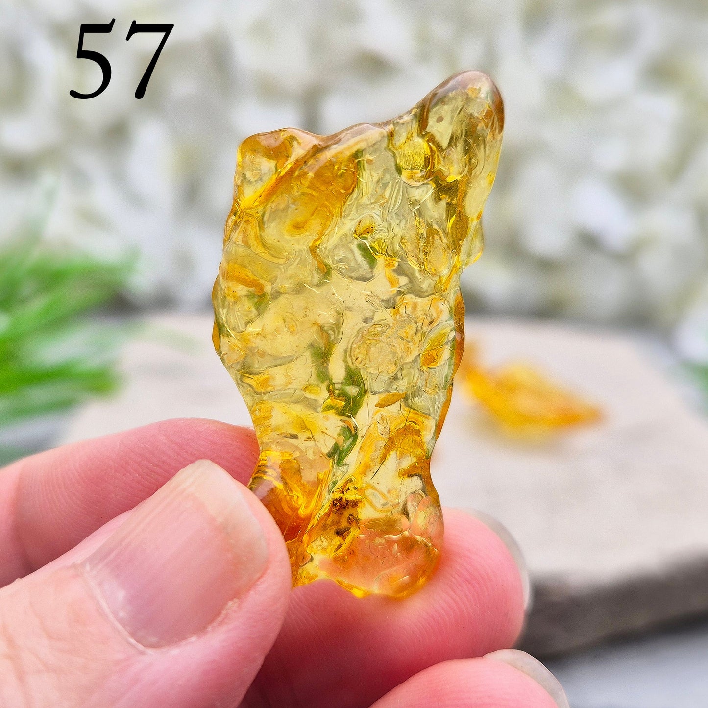 Copal Amber, Colombian